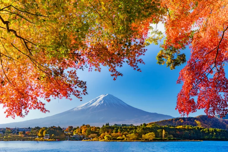 Red maple branches framing Mt. Fuji across Lake Kawaguchi at the Momiji Tunnel viewpoint