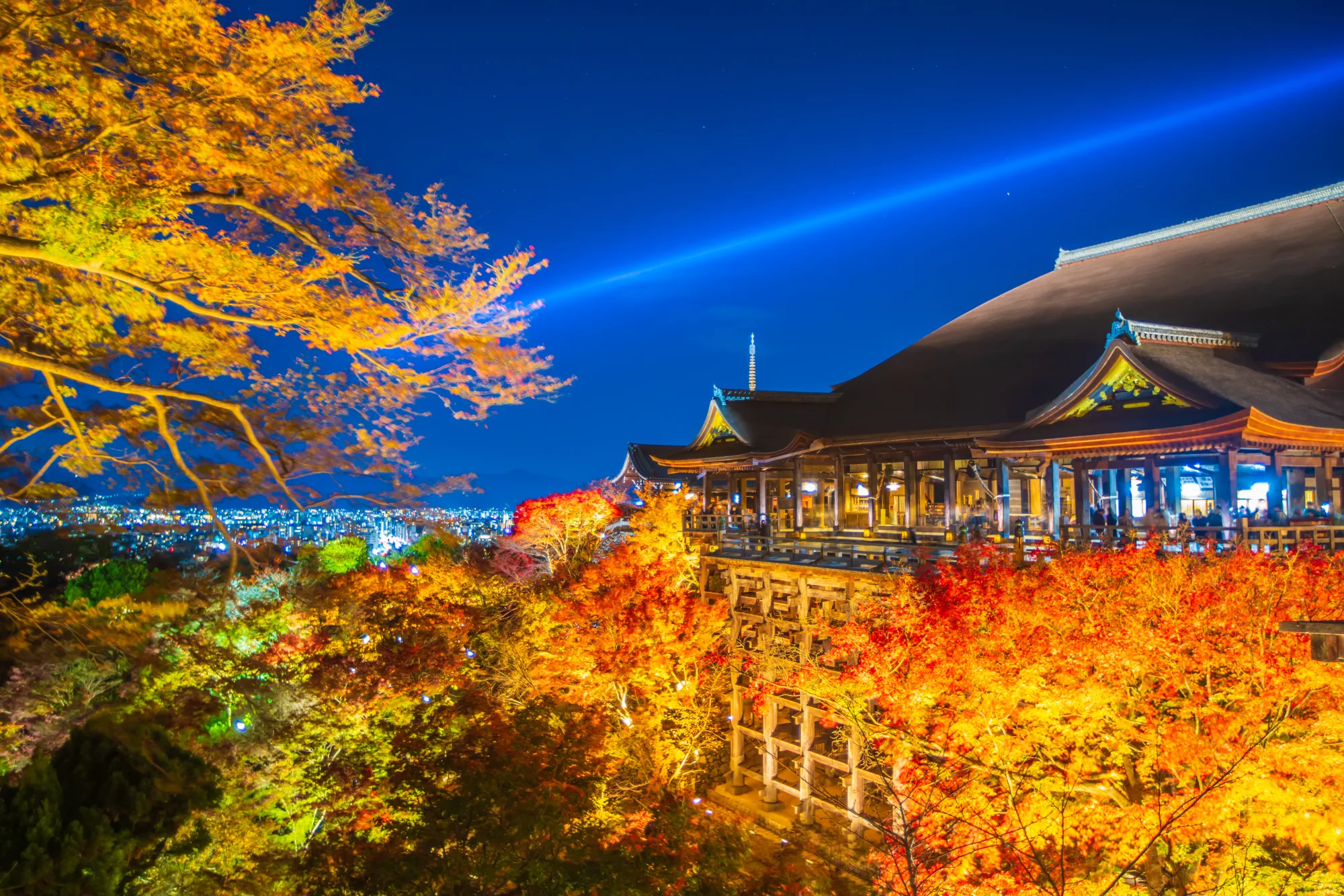 Maple leaves lit up at night on the Kiyomizudera terrace in Kyoto