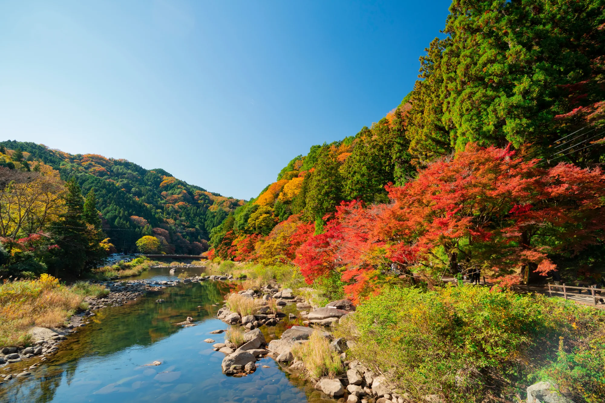 Autumn maples above the Tomoe River at Korankei Gorge in Asuke Toyota Aichi