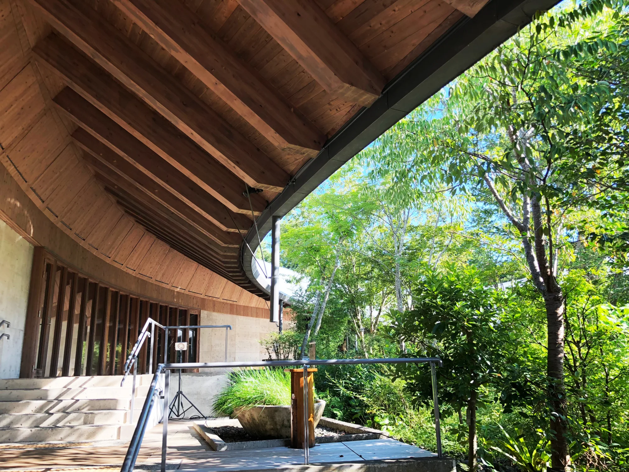 The warm laminated-timber interior and curved roof of the Makino Tomitaro Memorial Hall, Hiroshi Naito, Kochi