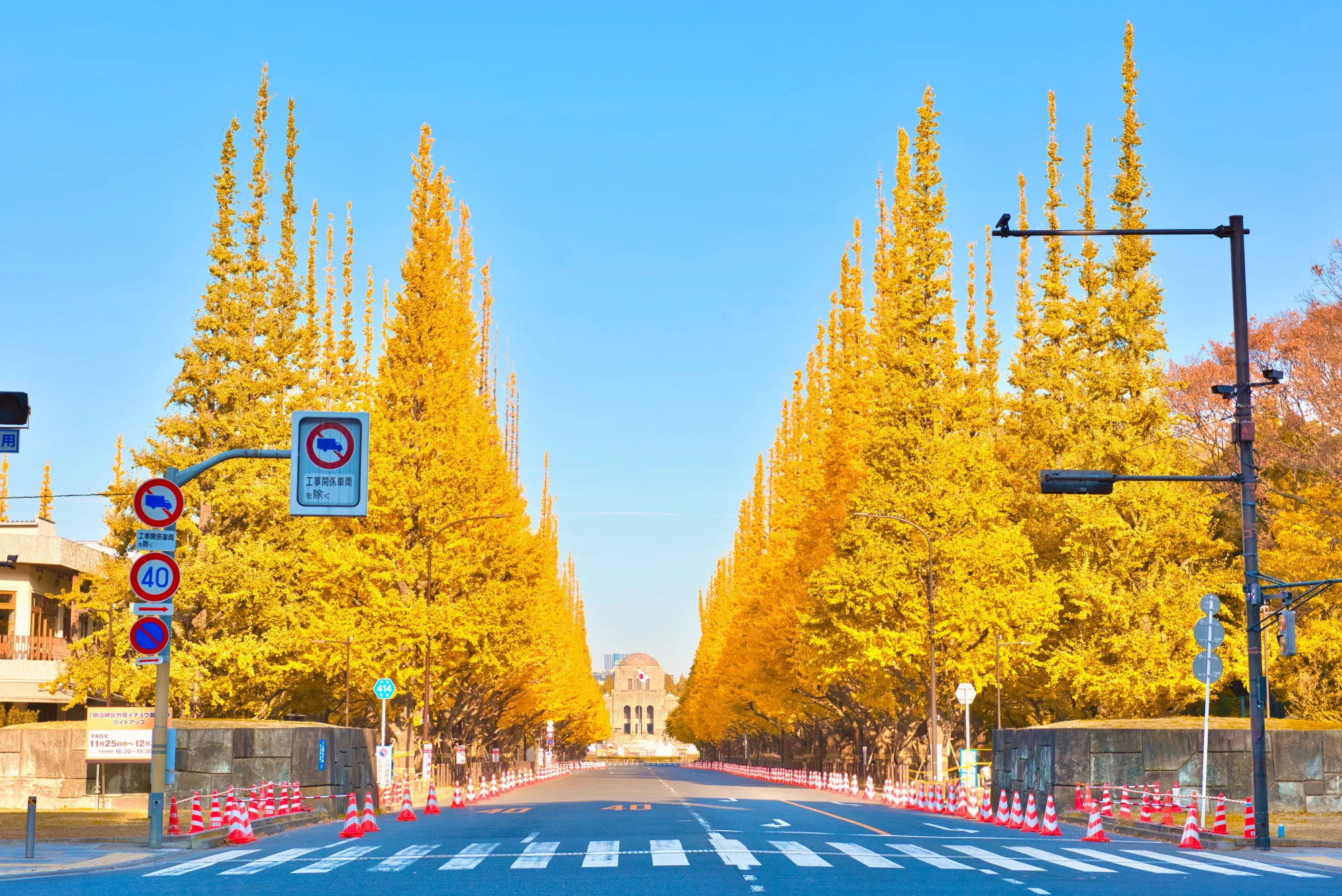 Golden ginkgo avenue at Meiji Jingu Gaien in Tokyo in late autumn