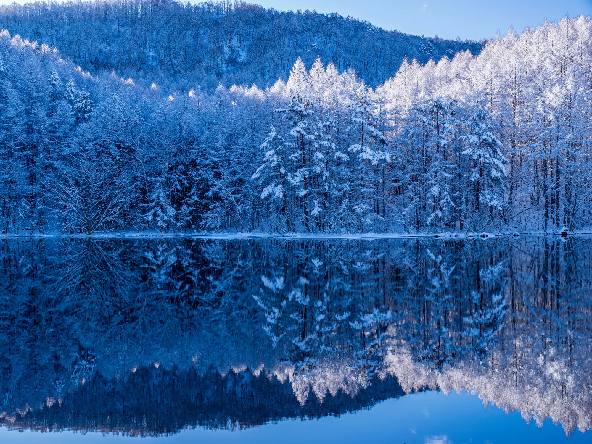 Still water of Mishaka Pond reflecting larch forest in morning light near Tateshina