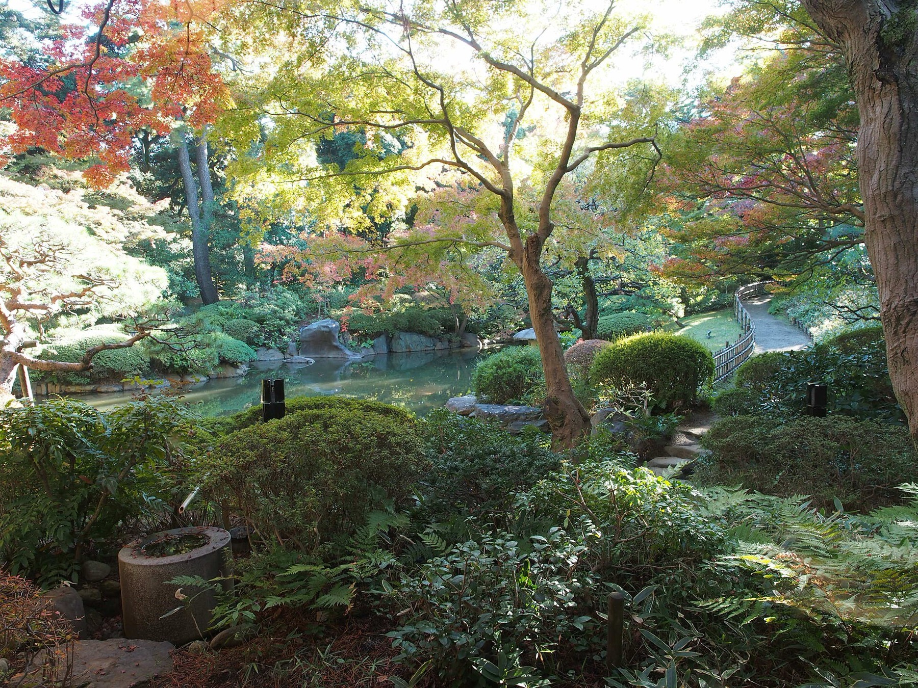 Japanese garden of the Teien Art Museum in autumn with the tea house Koka