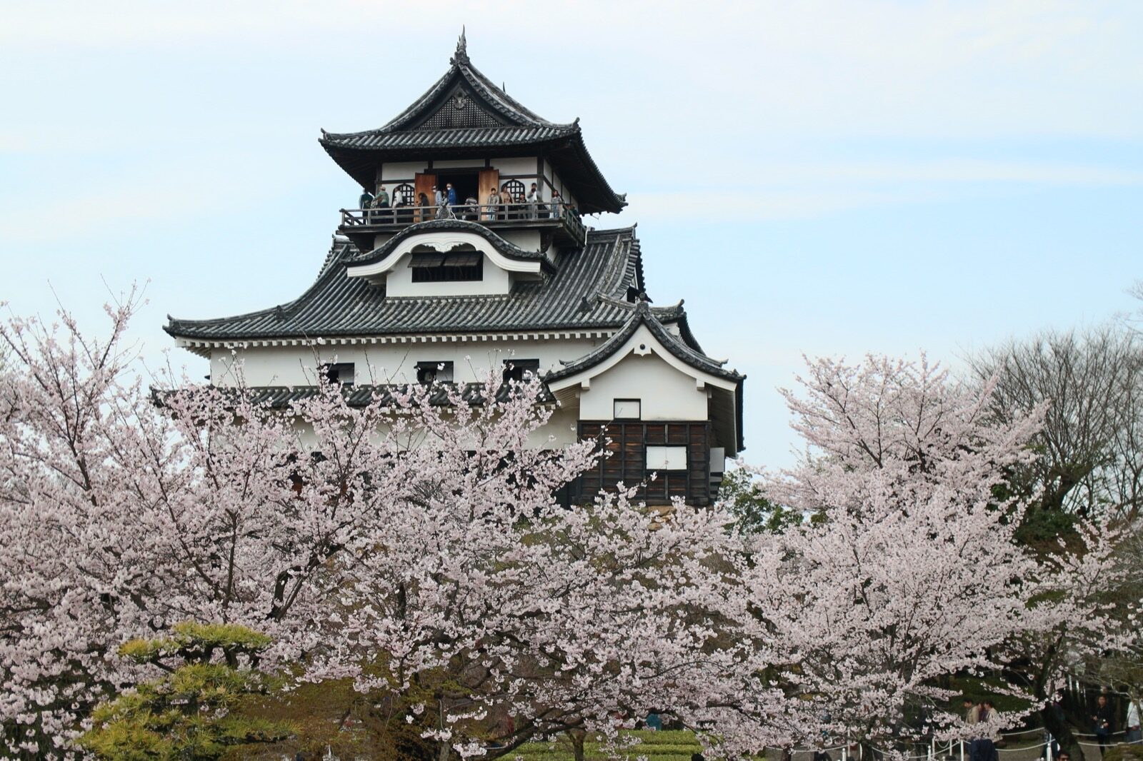 The original wooden keep of Inuyama Castle on its hill under a blue sky
