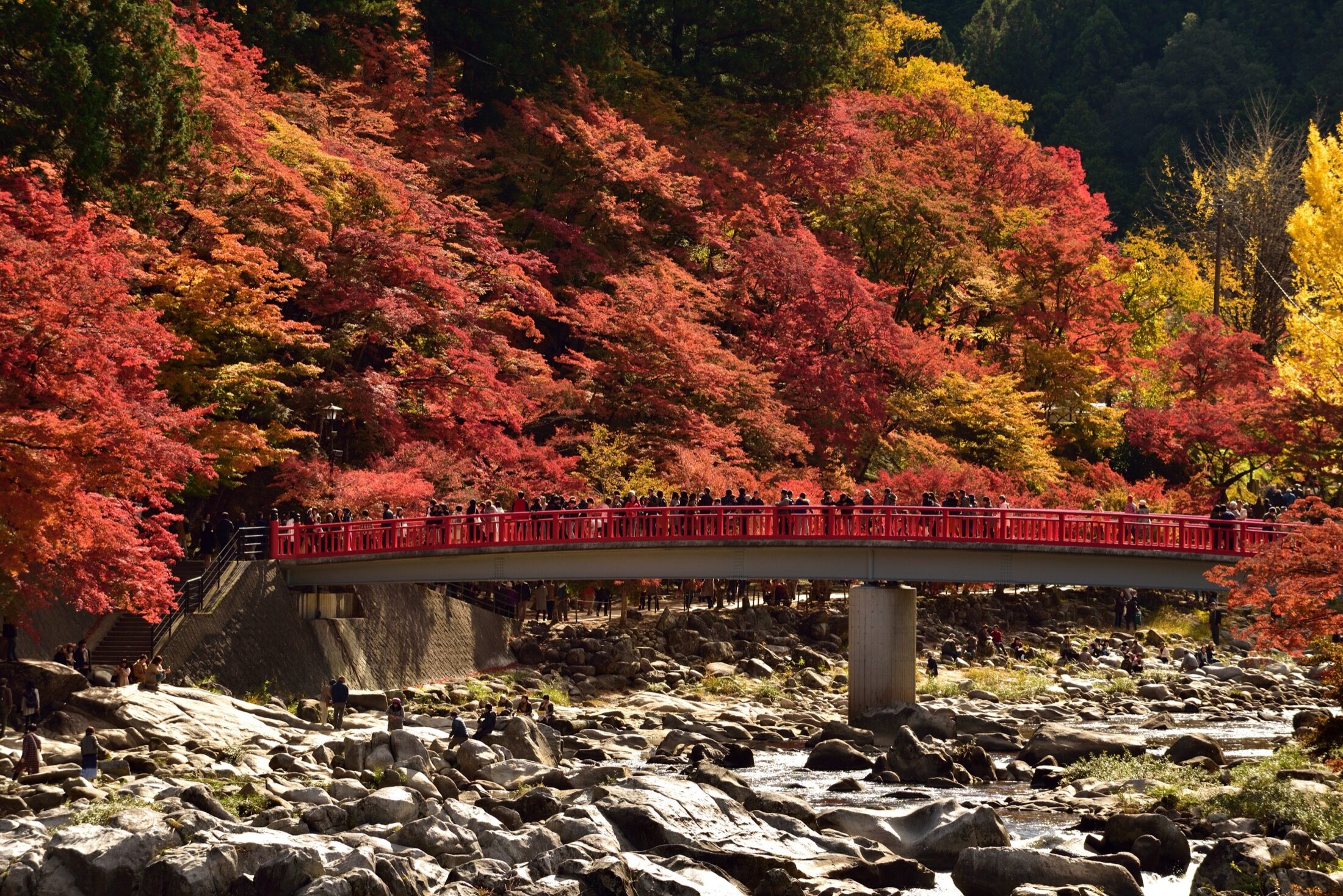 The Korankei gorge near Nagoya in green early-autumn foliage, with maples still unturned along a river and a red bridge, showing the valley before its famous November colour.