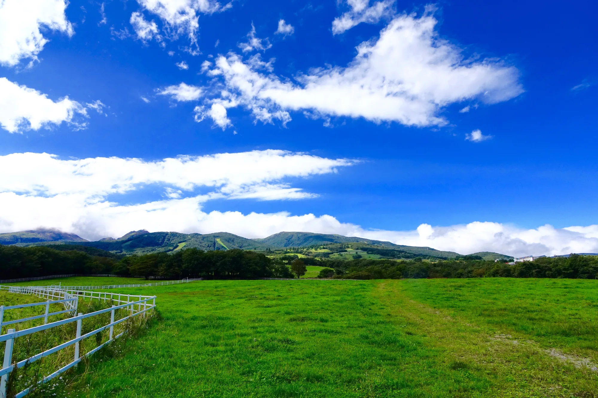 Open green highland pasture under a summer sky, Nasu Highlands, Tochigi
