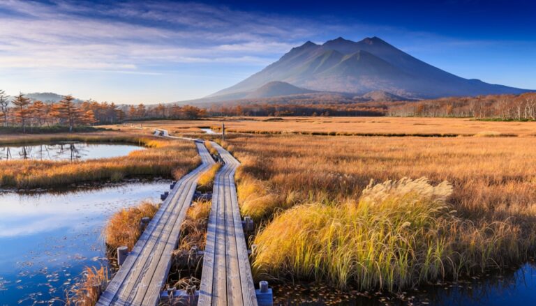 Wooden boardwalk crossing the golden kusamomiji grass colour of the Ozegahara marshland in early autumn, running toward Mount Shibutsu in Oze National Park on the Gunma side