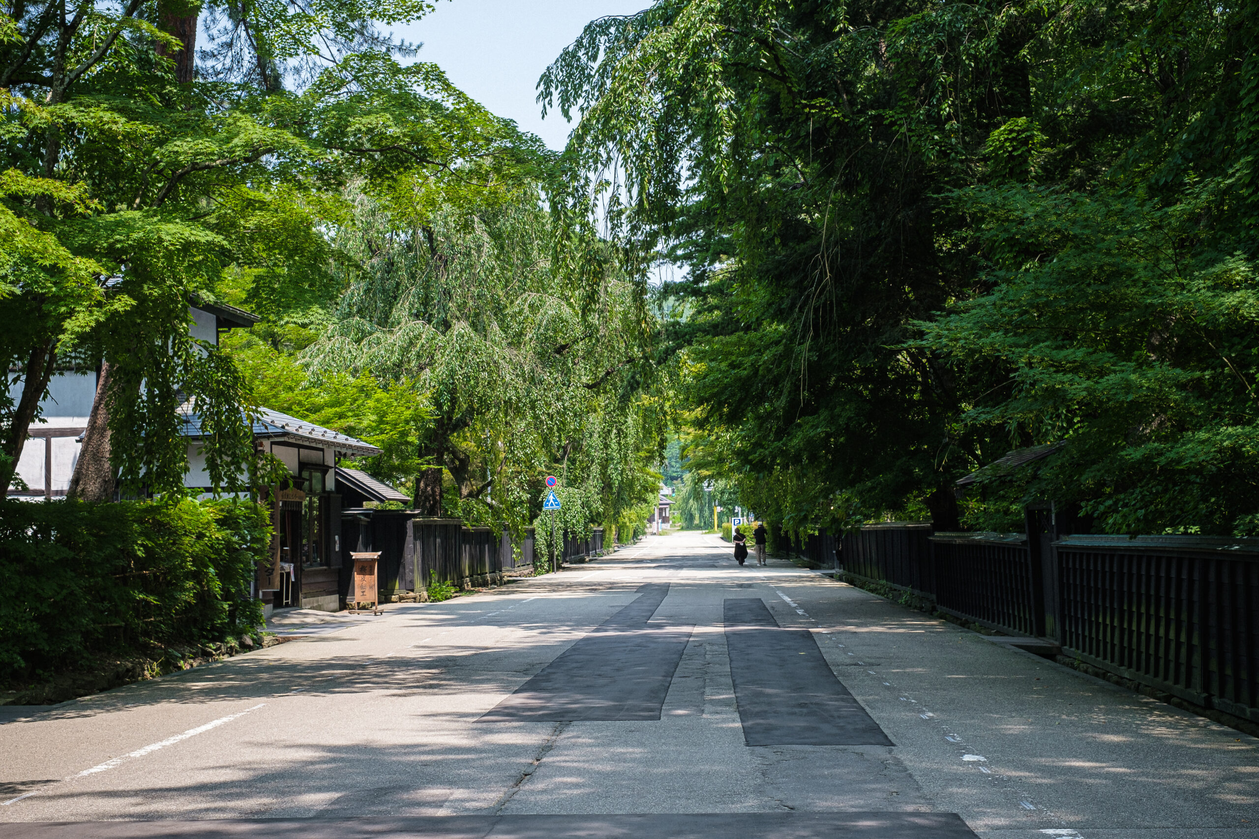 The broad street of Kakunodate samurai district in Akita, lined with black wooden fences and green trees