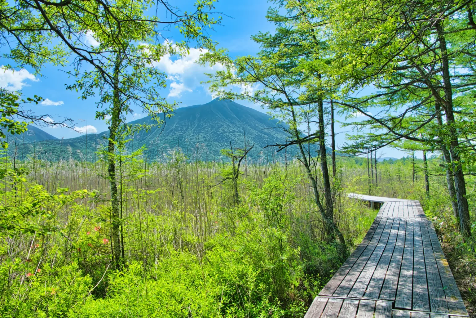 Senjogahara marsh and Mt. Nantai in fresh summer green, Oku-Nikko, Tochigi