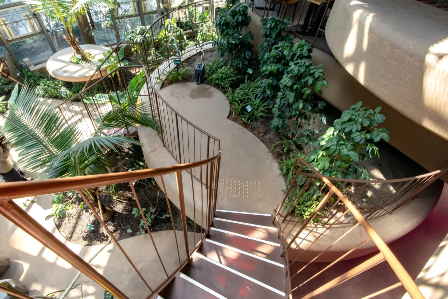 The cork-finished earthen mounds and greenhouse planting inside the renovated Shibuya Fureai Botanical Center, Tokyo