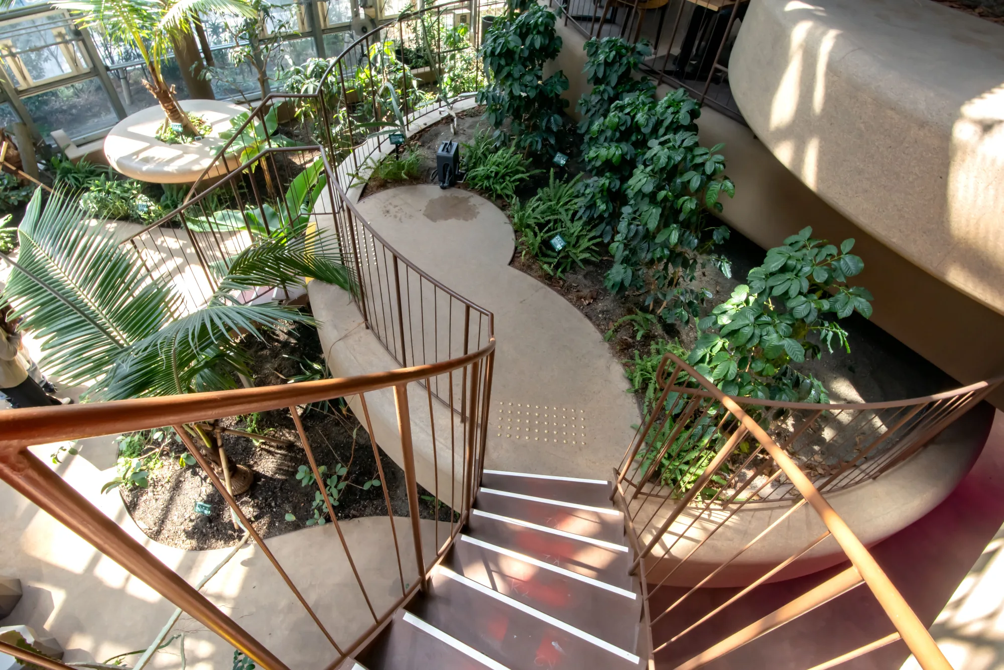 The cork-finished earthen mounds and greenhouse planting inside the renovated Shibuya Fureai Botanical Center, Tokyo