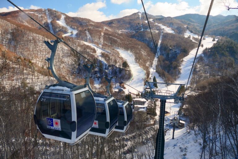Gondola cabins on the Shiga Kogen Resort Gondola line pass above snow-covered pistes and bare winter birch, with linked ski areas spreading across the ridges of the Shiga Kogen plateau in northern Nagano under a blue sky.