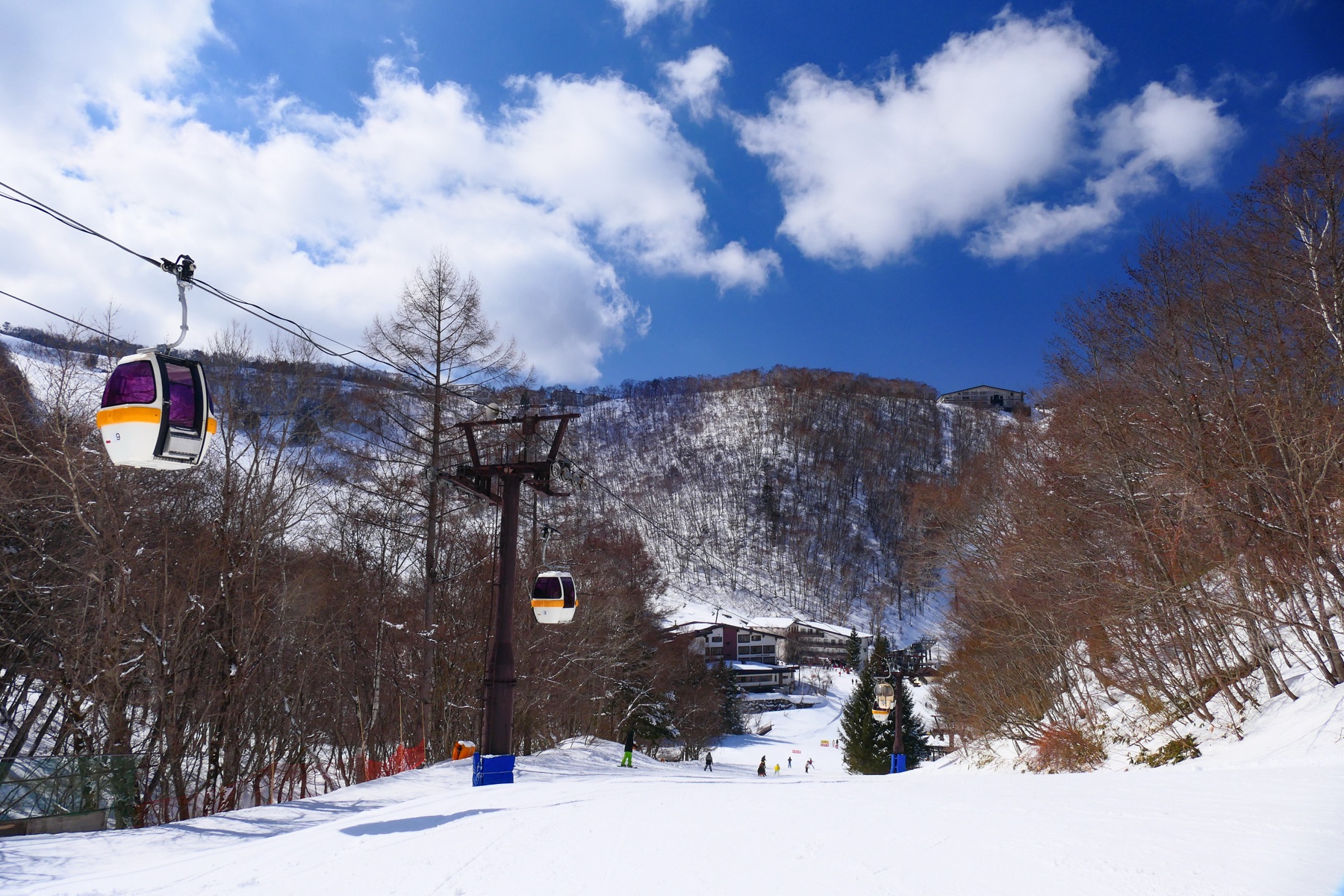 A gondola cabin climbs above a wide groomed piste at the Hoppo Bunadaira area of Shiga Kogen, with skiers small on the snow below and forested ridges rolling into the distance under scattered cloud.