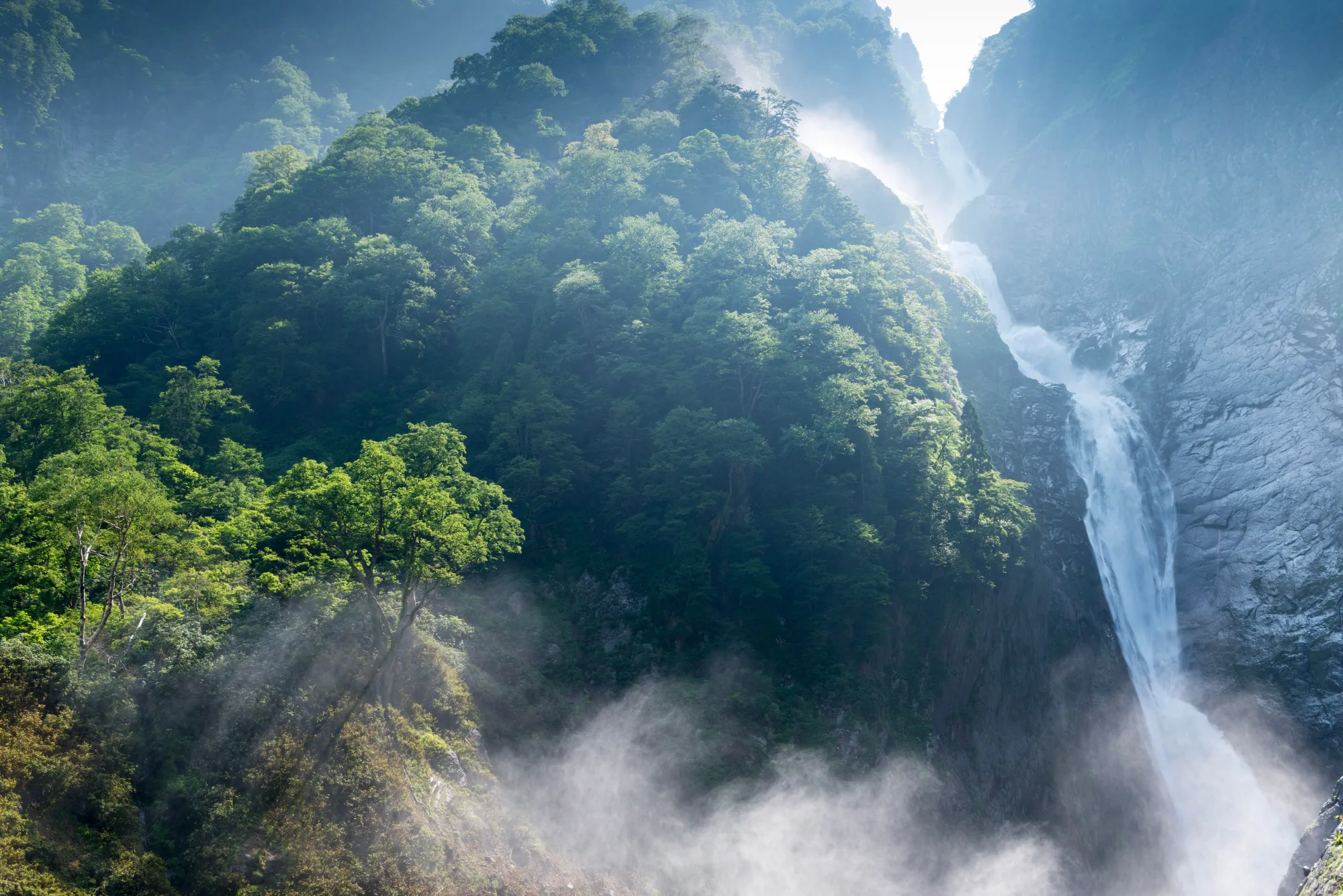 Shomyo Falls in its forested gorge with afternoon light, Tateyama, Toyama