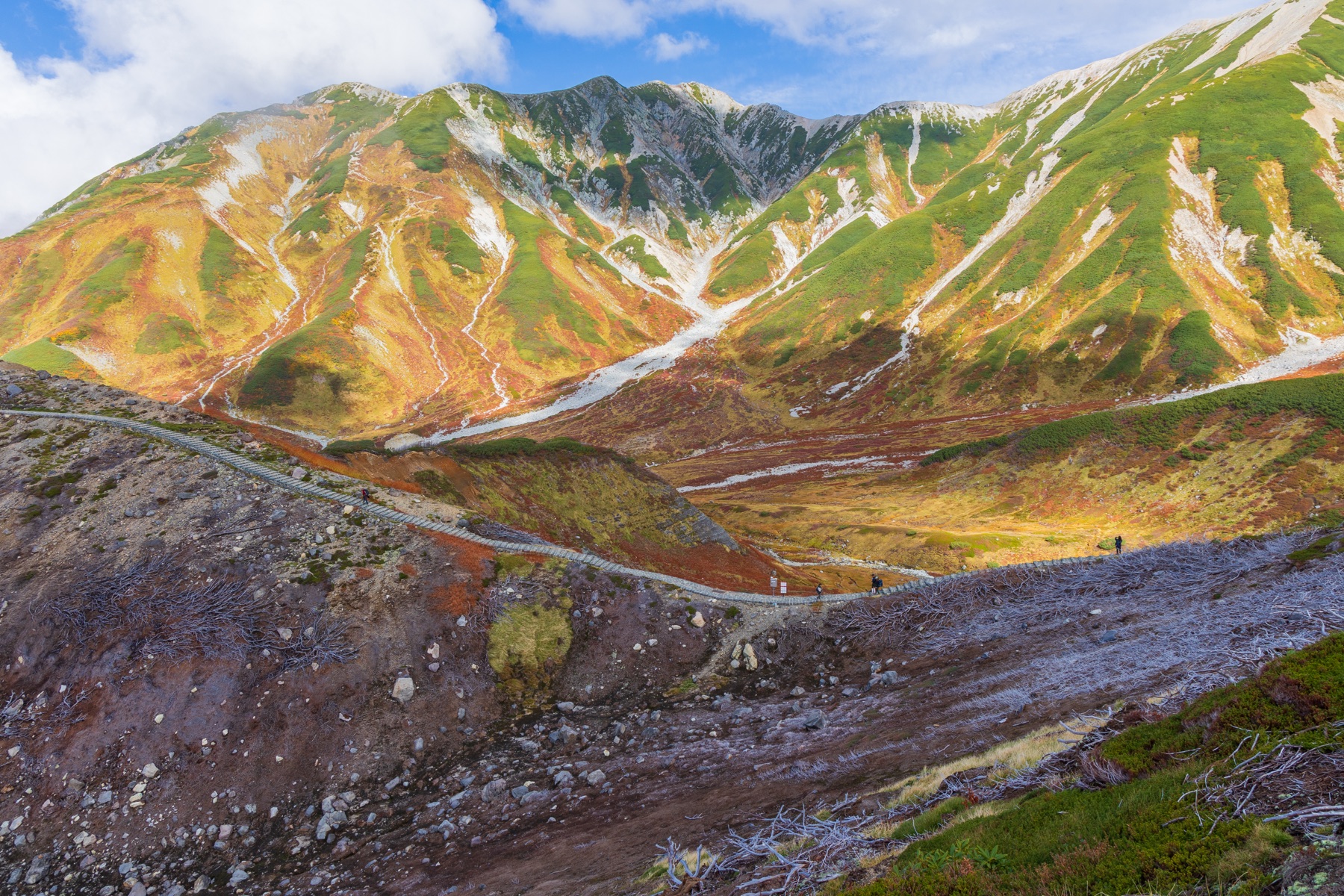 Autumn colours across the Murodo plateau on the Tateyama Kurobe Alpine Route, with red and gold alpine vegetation covering the slopes beneath grey volcanic peaks at about 2,450 metres elevation