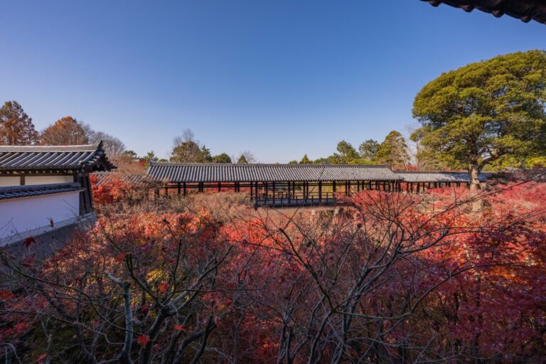 The Tsutenkyo covered bridge at Tofukuji temple in Kyoto surrounded by a valley of red and orange maple foliage at the typical late-November peak of the autumn colour season