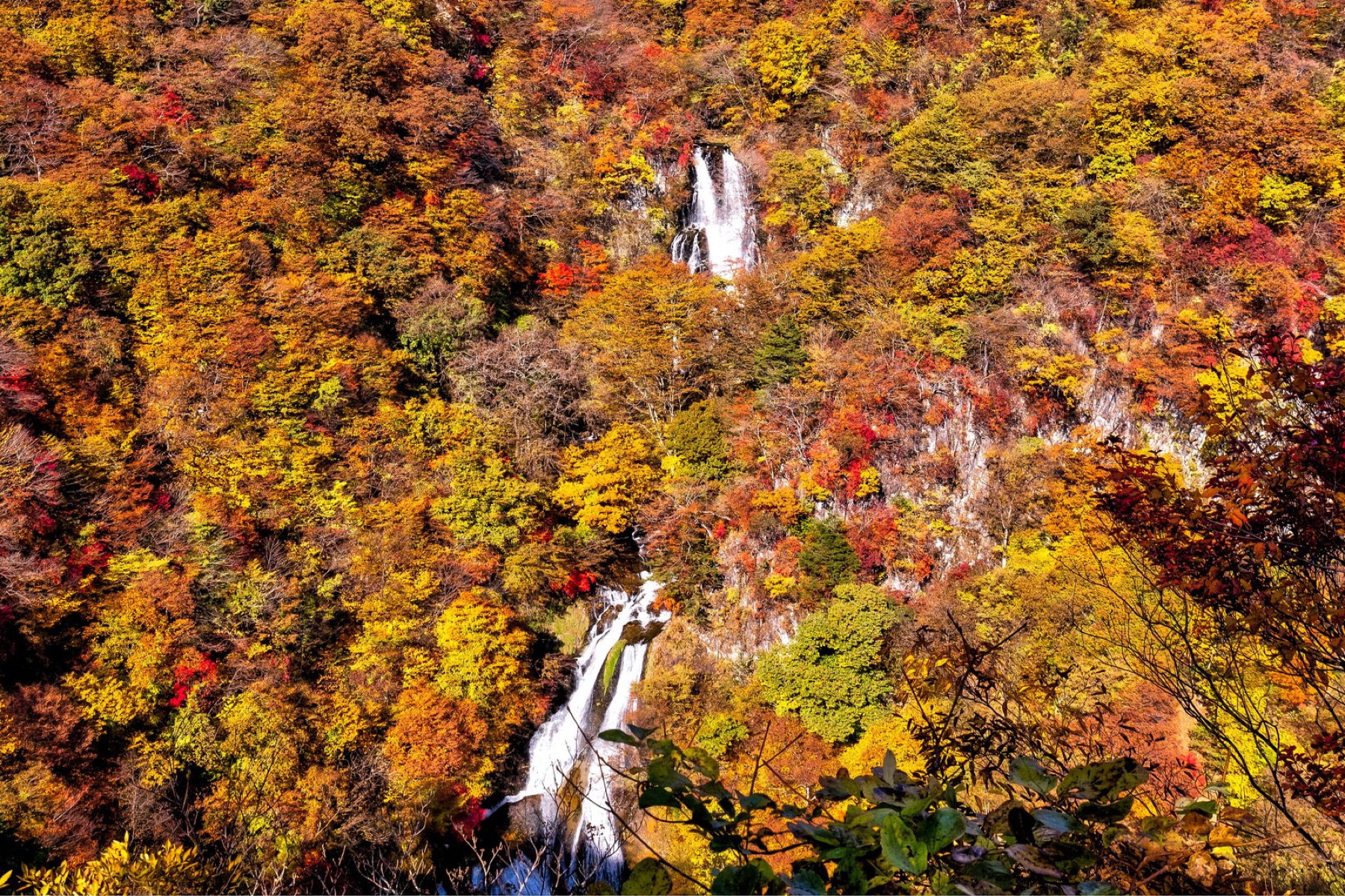 Kirifuri Falls in autumn, two tiers scattering into mist