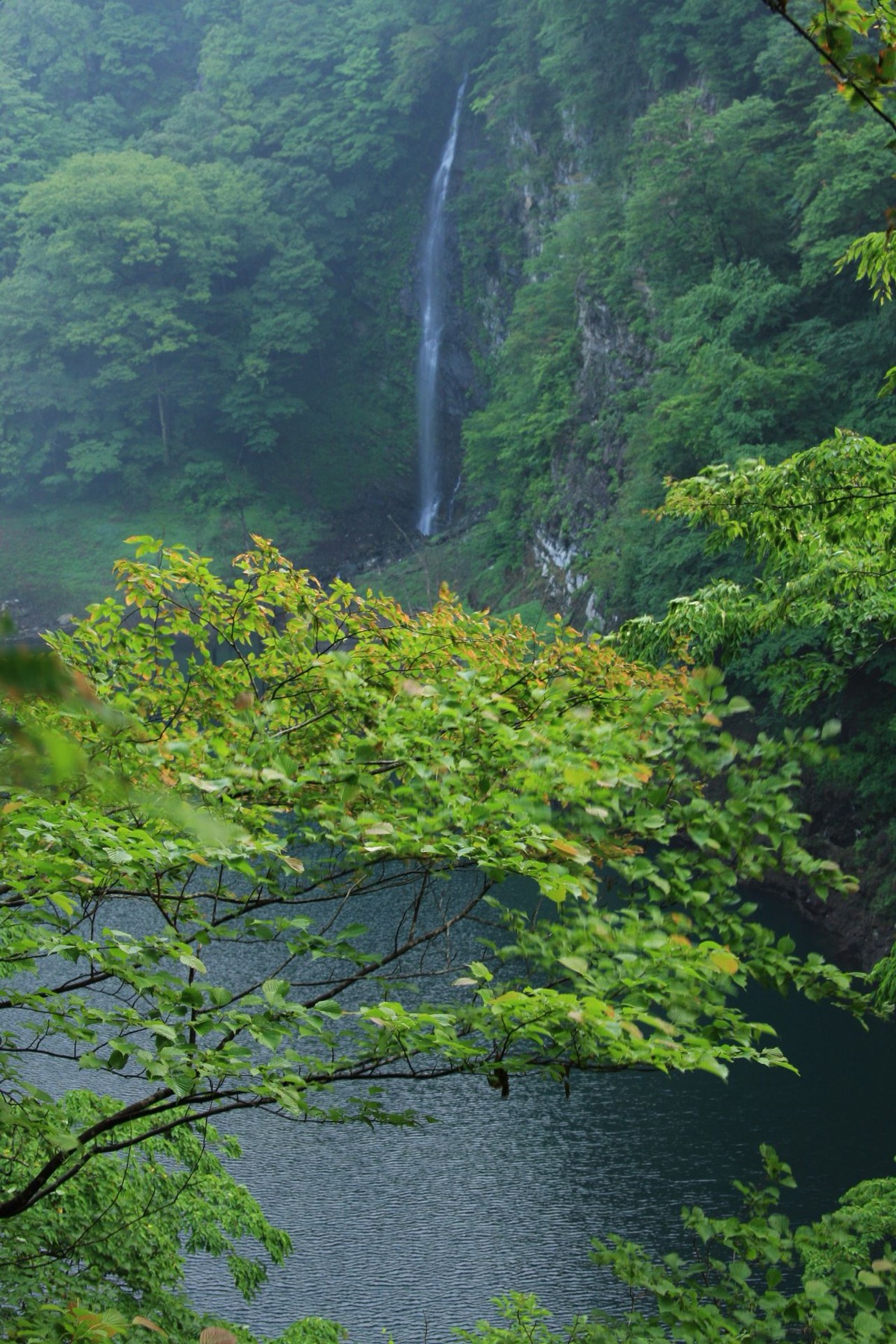 Mikaeri Falls ribbon on the Shiobara canyon wall