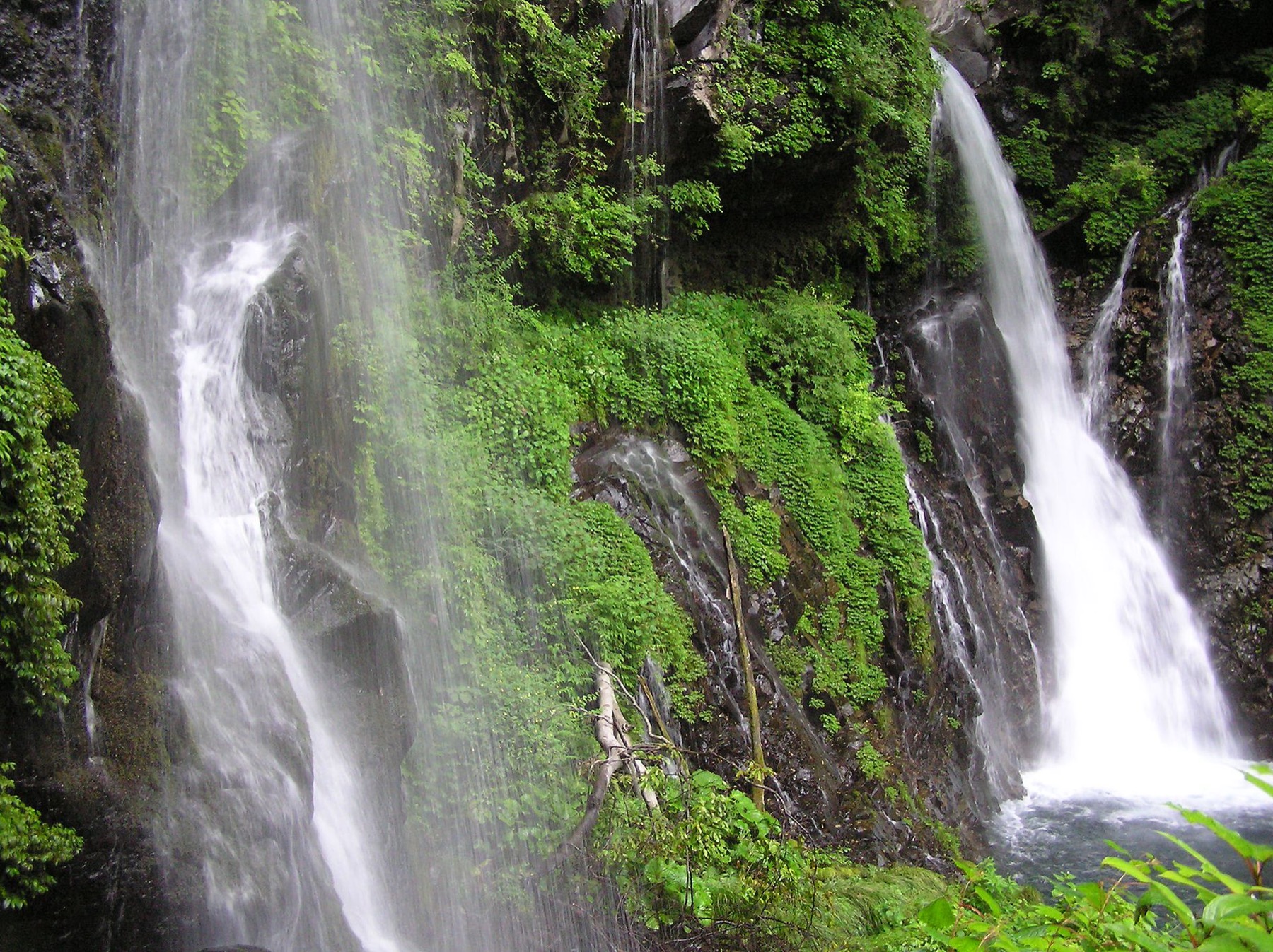 Urami Falls dropping into a mossy rock bowl in Nikko