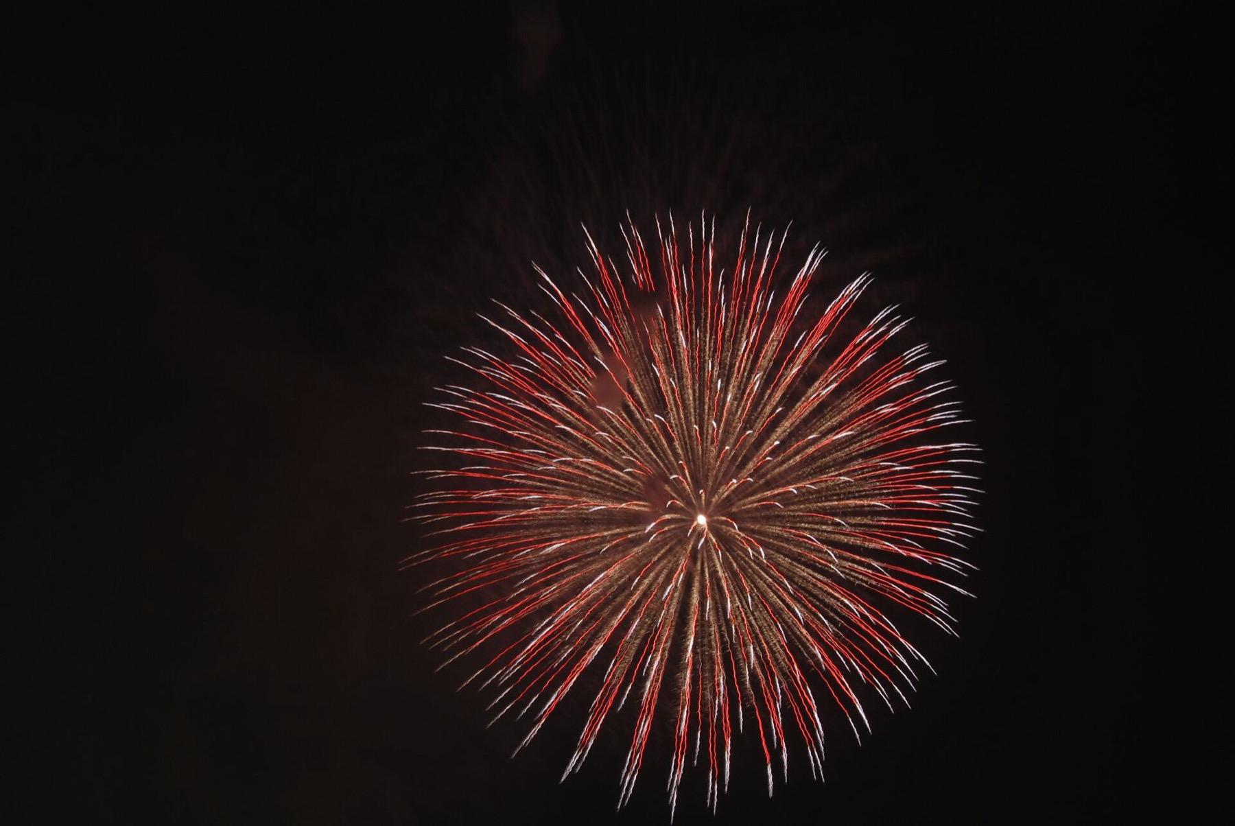 Giant red and gold firework bursting over the Yodogawa river at the Naniwa Yodogawa Fireworks Festival in Osaka