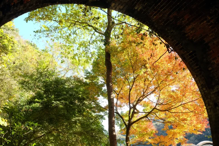 Looking out through the arched brick mouth of a disused railway tunnel in the Aigi Tunnel Group, with orange and green maple trees filling the opening beyond.