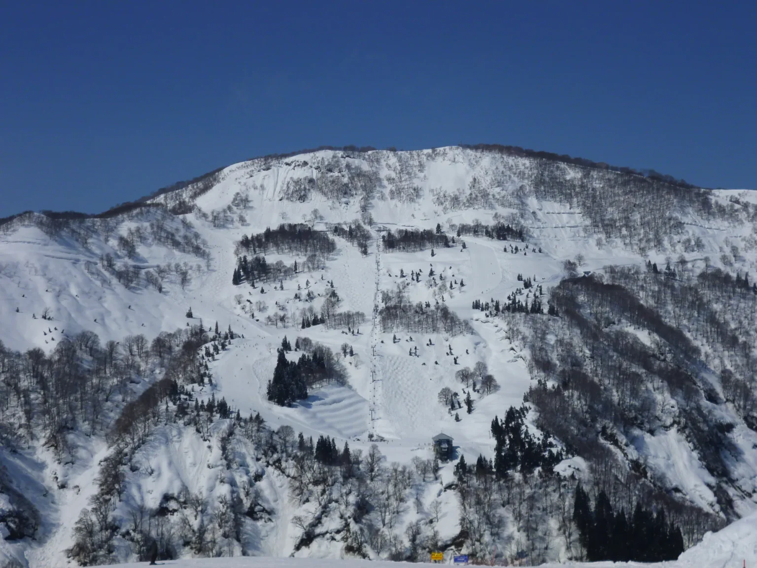 A wide panorama of GALA Yuzawa southern area: a bowl of snow-covered mountainside under a deep blue sky, with tree-lined pistes and a lift line running up the centre.