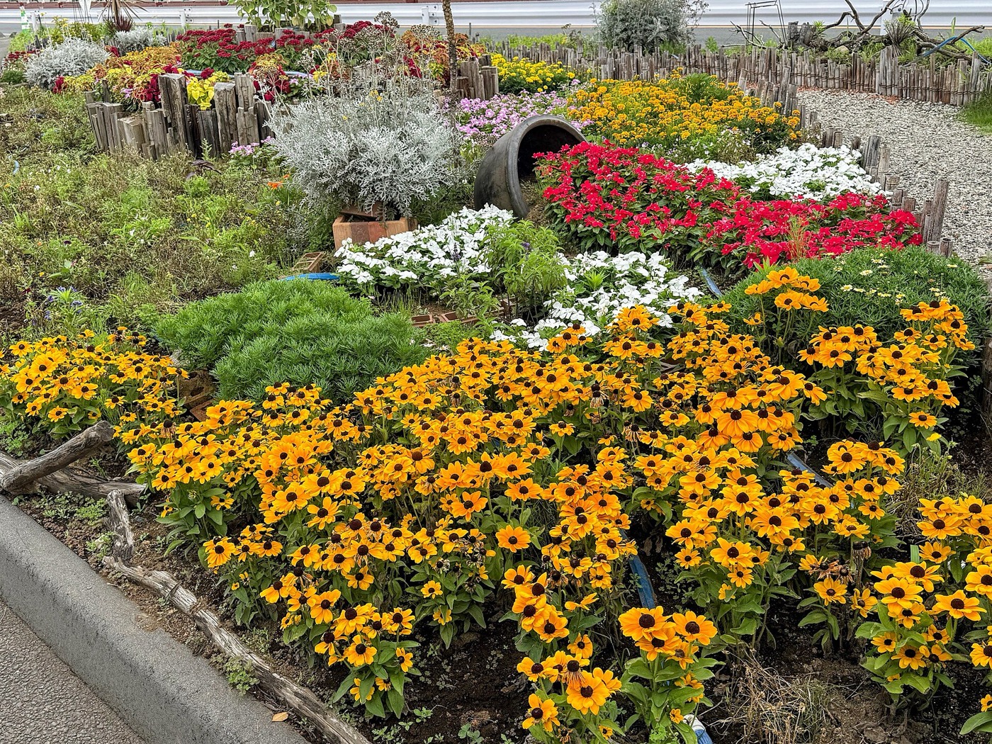 Flower beds of orange rudbeckia, red salvia and white blooms planted beside Kaigun Road next to the GREEN×EXPO 2027 site, July 2026