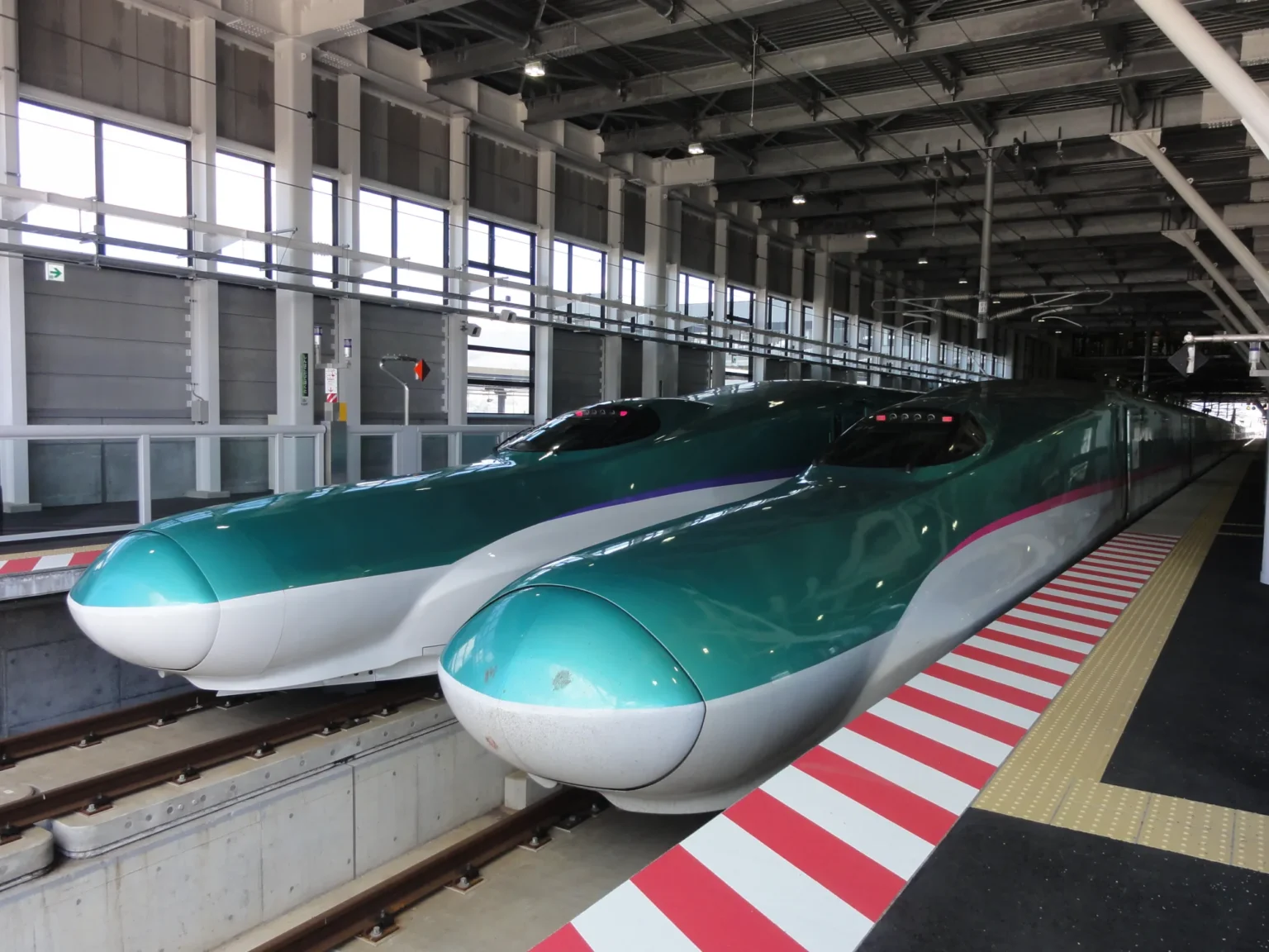Two shinkansen noses side by side at Shin-Hakodate-Hokuto Station: an H5 series with a purple stripe on the left and an E5 series with a pink stripe on the right, beside a red-and-white platform edge under a steel roof.