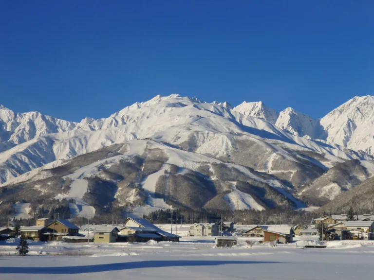 Hakuba Happo-one seen from the valley floor in deep winter: snow-covered village houses in the foreground, the resort pisted runs fanning up a broad wooded mountainside behind them, and the sharp white ridge of the Northern Alps above, under a cloudless blue sky.