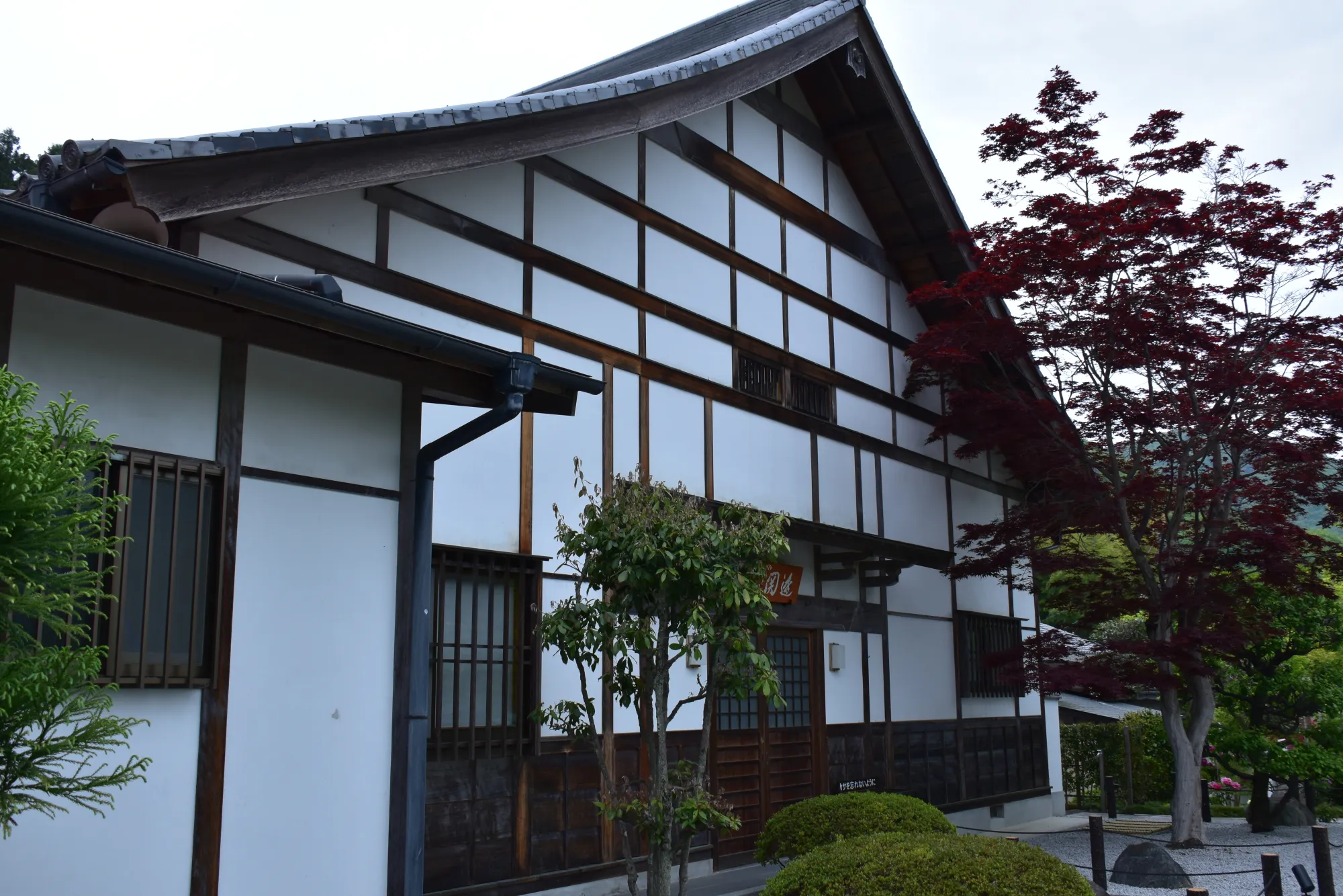 The hall from outside under a white sky: a steep tiled roof over white plaster walls crossed by dark timber framing, a dark red Nomura maple to the right, clipped shrubs and raked gravel below, and hills behind.