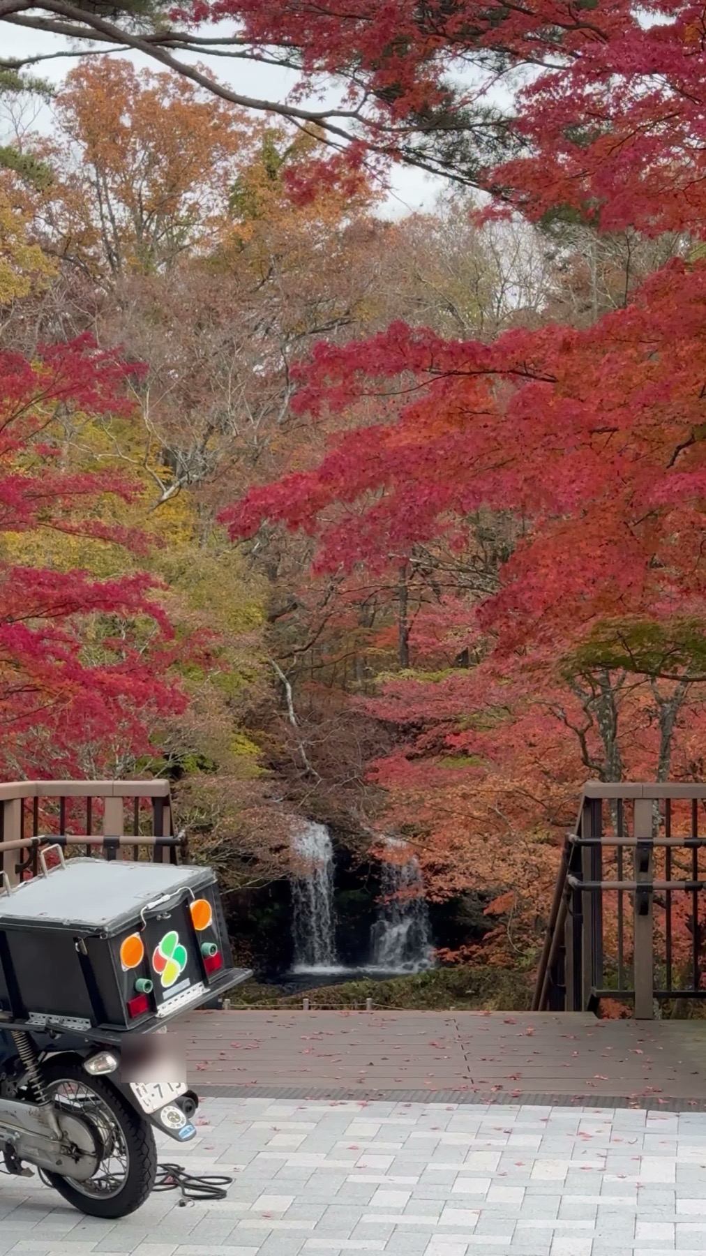 Kaneyama Falls in Fujiyoshida dropping in two white streams over a dark rock ledge, framed by brilliant red and orange maple trees at peak colour, with a wooden viewing deck and a parked delivery motorbike in the foreground.
