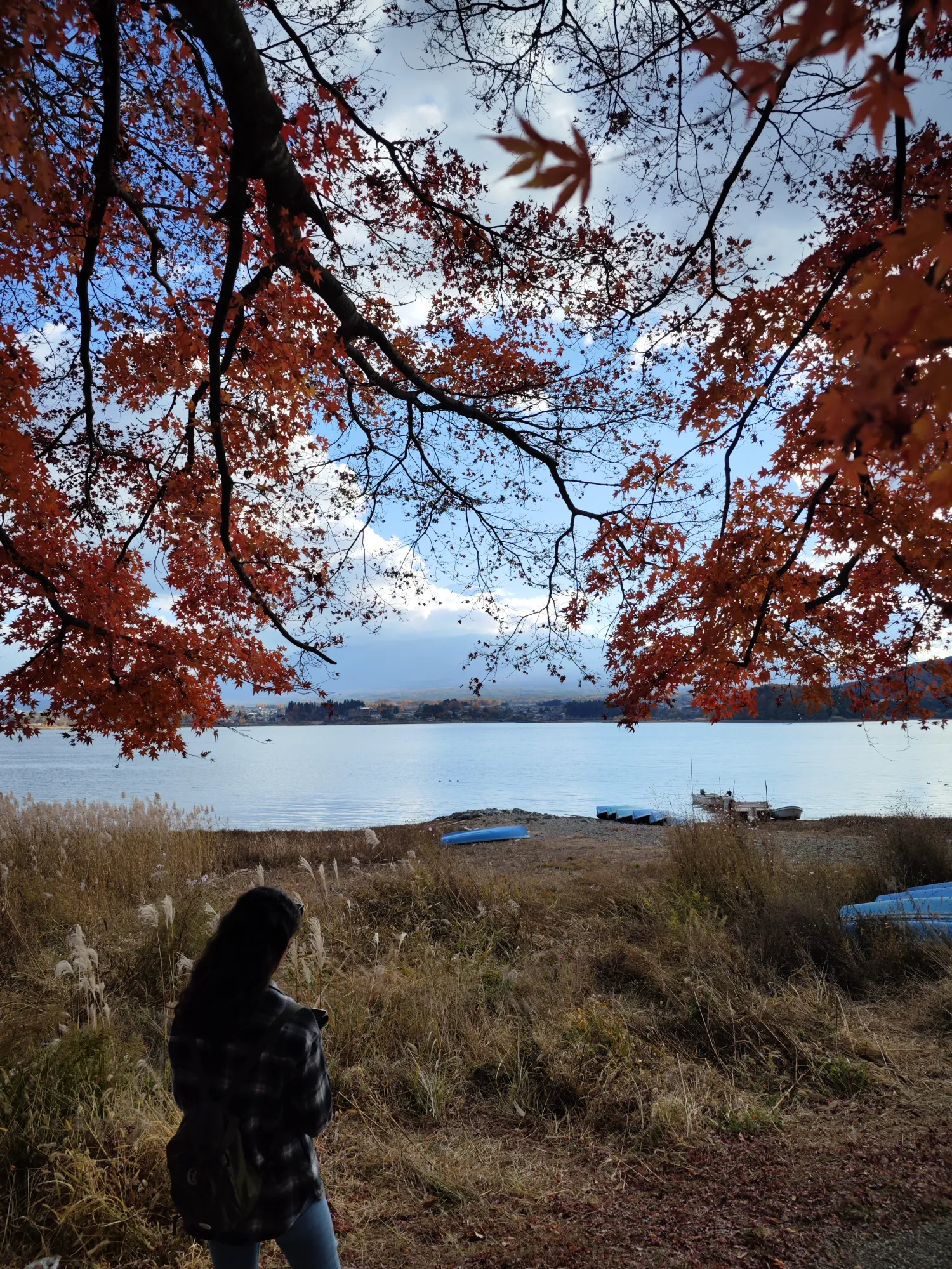 Looking south across Lake Kawaguchi from the north shore on a November afternoon: a rust and orange maple canopy overhead with many branches already bare, the pale outline of Mount Fuji half hidden behind cloud on the far side, boats pulled up on a wide band of exposed gravel shoreline, and dry pampas grass in the foreground.
