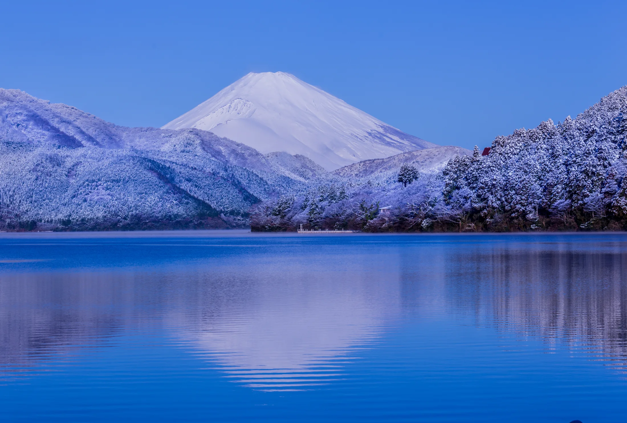 Snow-dusted Mount Fuji rising beyond frost-covered trees at Lake Ashi in Hakone, its white cone mirrored in the still blue water of the lake on a clear winter morning