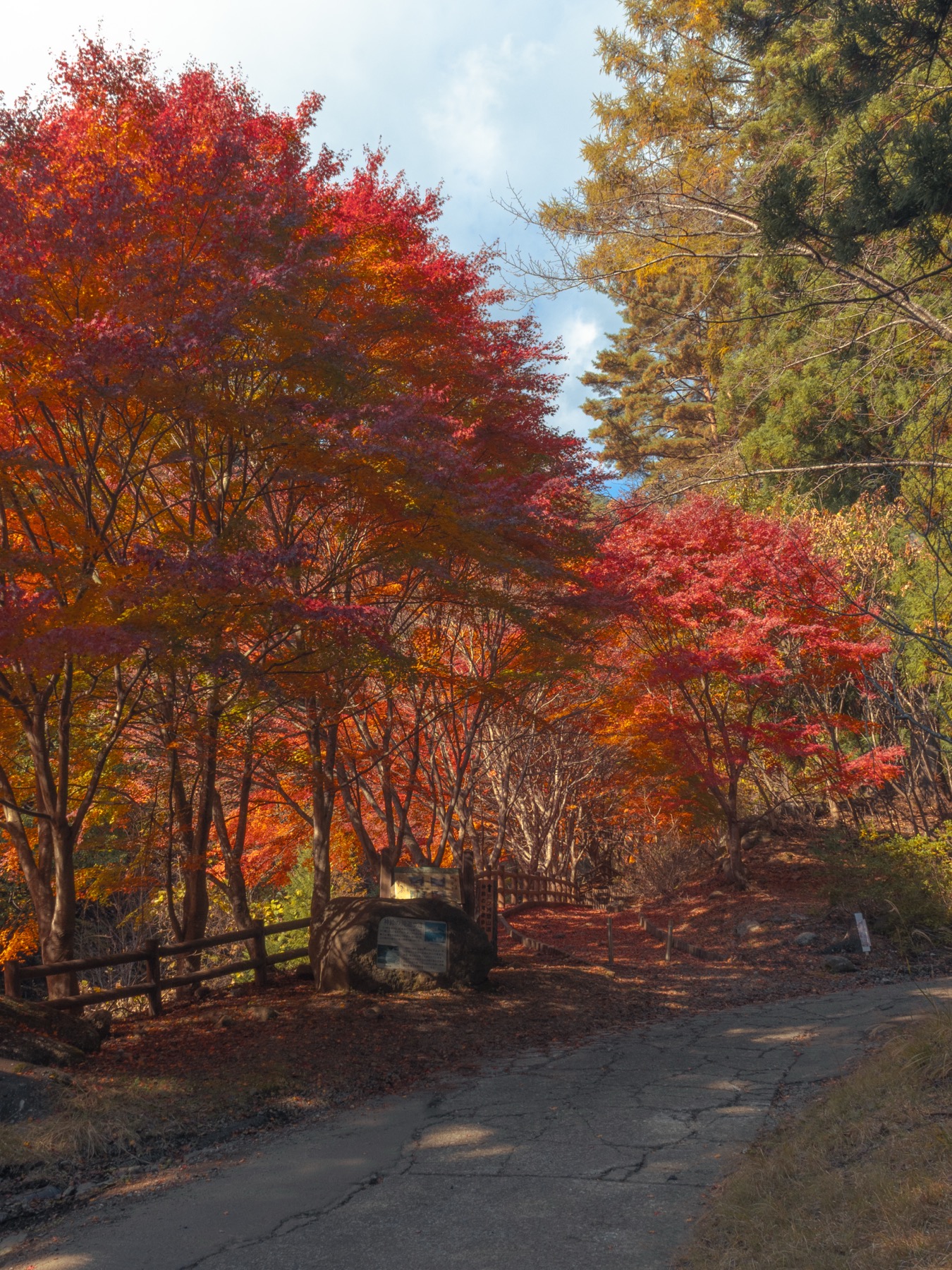 The signposted entrance of the Shinrei-no-taki promenade near the Mount Mitsutoge trailhead, a stone marker and wooden fence beneath a canopy of red and orange maples at peak colour, fallen leaves covering the ground.