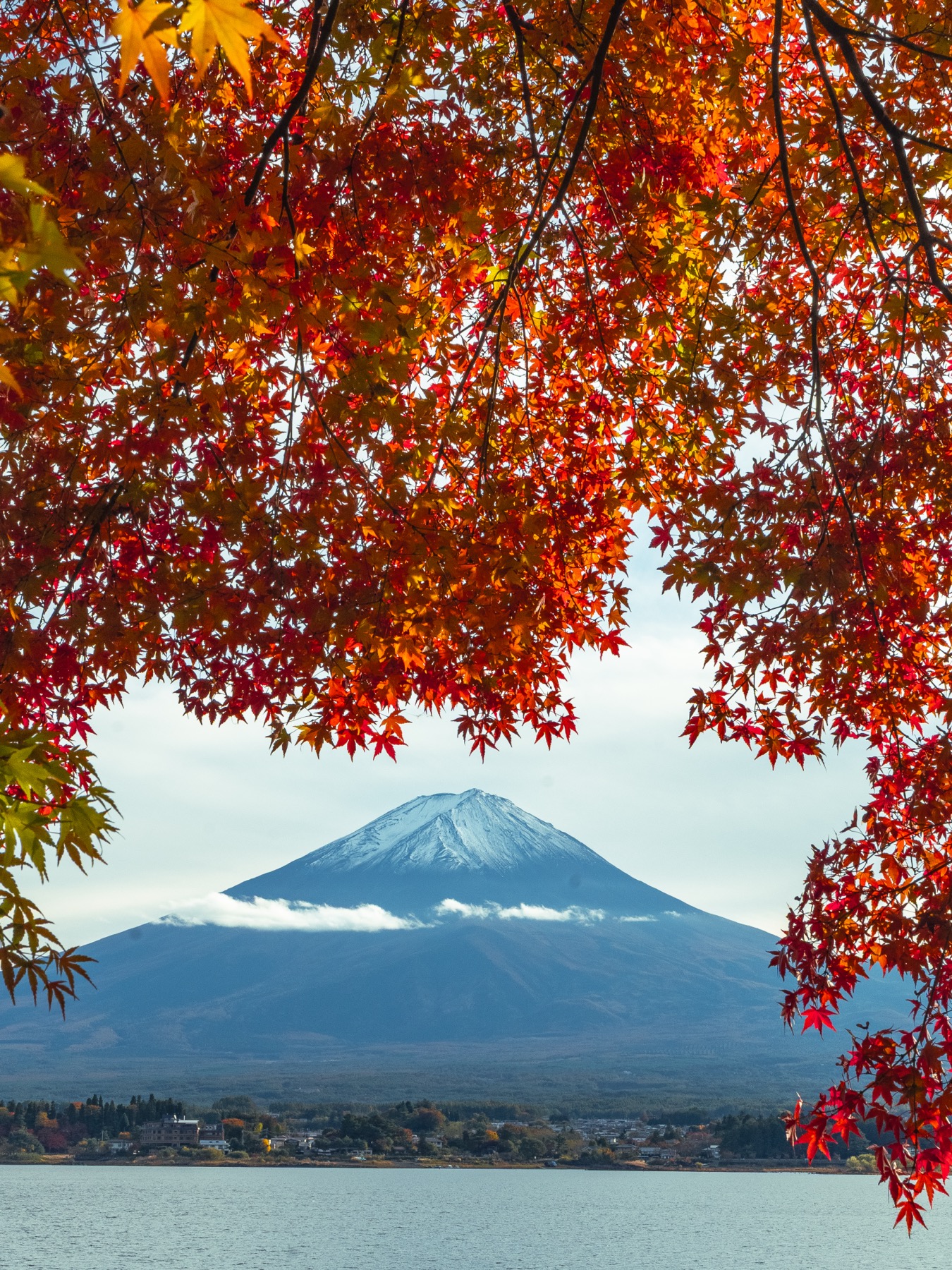 Branches of Japanese maple in full red and orange autumn colour framing a snow-capped Mt Fuji across Lake Kawaguchi in early November, with houses on the far shore and a thin line of cloud across the mountain middle.