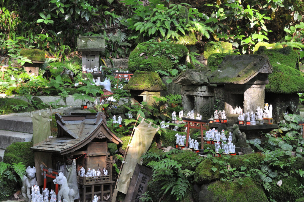 Dozens of small white ceramic fox figurines offered by worshippers crowd a mossy stone ledge among ferns at Sasuke Inari Shrine in Kamakura