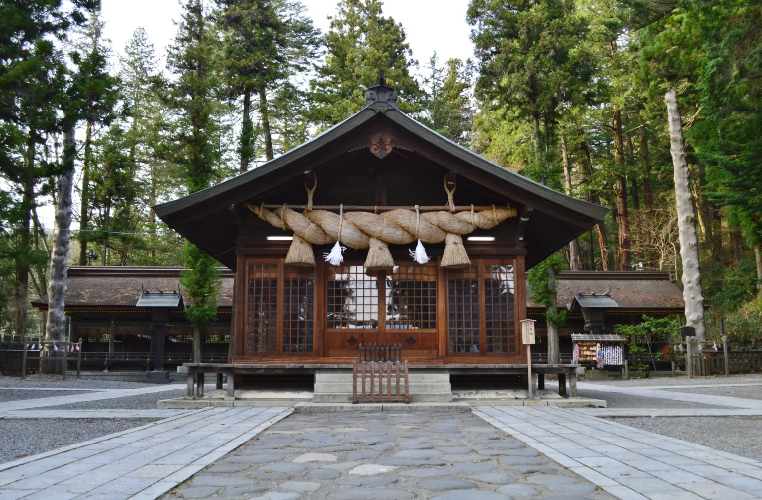 The kagura hall at Suwa Taisha Shimosha Harumiya: a timber hall with a curved roof and a thick braided rice-straw rope hung across the front, standing on a paved forecourt with tall cedars behind it.