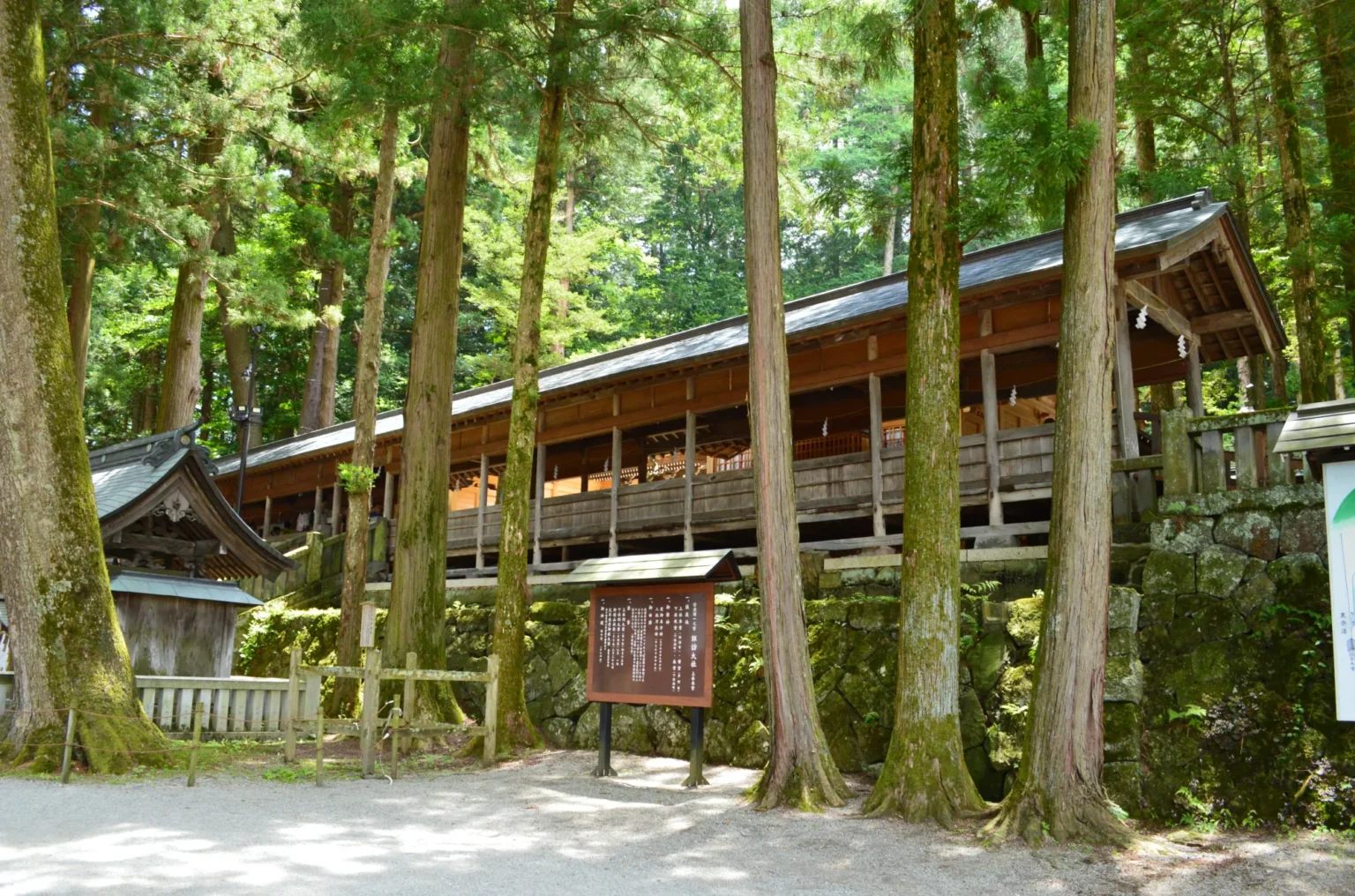 The Nunobashi, a long open-sided wooden corridor with a shingled roof, running uphill through tall cedar trunks in the precinct of Suwa Taisha Kamisha Honmiya.
