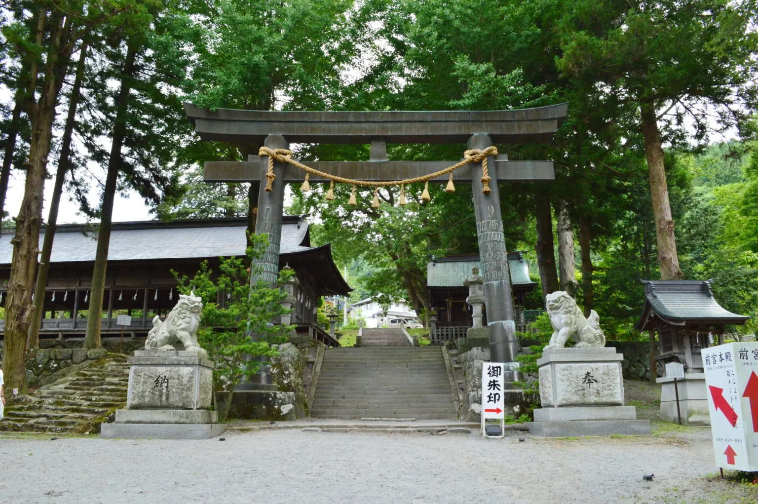The stone torii gate at Suwa Taisha Kamisha Maemiya, with a straw rope and paper streamers across it, a pair of stone guardian lions either side, and steps climbing between cedars toward the shrine buildings.