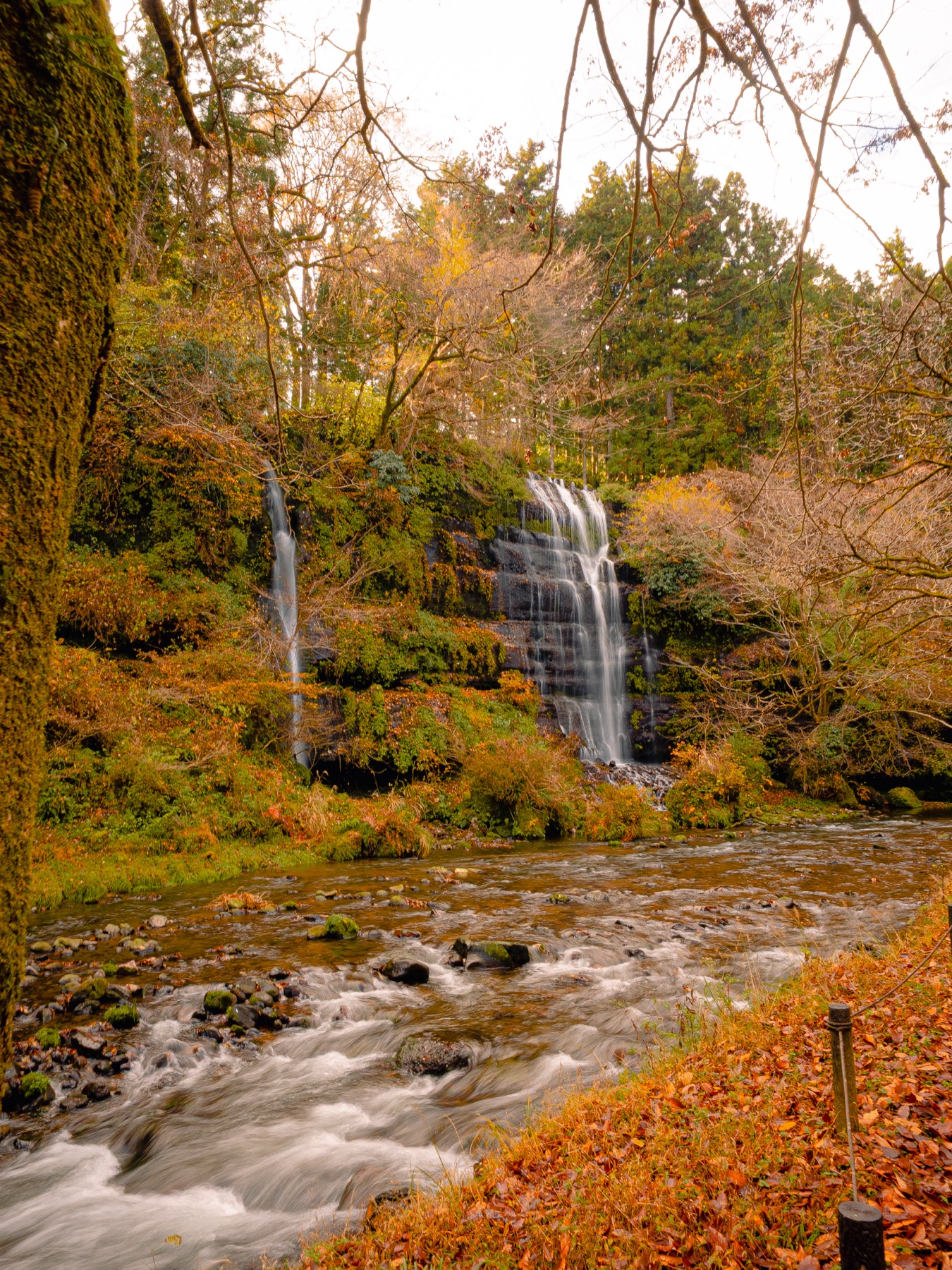 A clear mountain stream rushing over mossy stones below the twin Taro and Jiro waterfalls in Tsuru, fallen brown leaves carpeting the bank in the foreground and late-autumn woodland framing the falls behind.