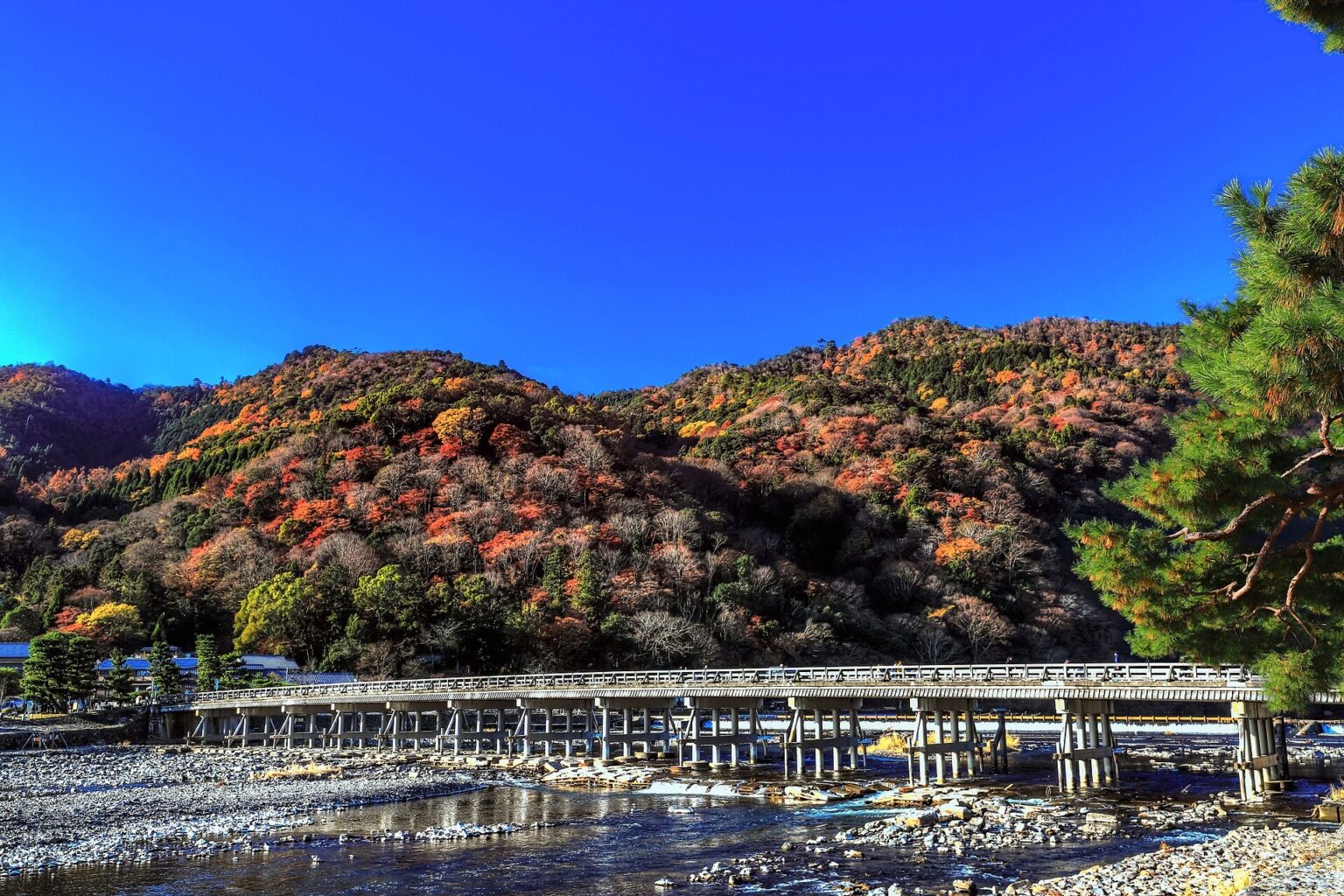 The long wooden-railed Togetsukyo Bridge crossing the shallow Katsura river at Arashiyama in Kyoto, with autumn-coloured hillsides rising behind it.
