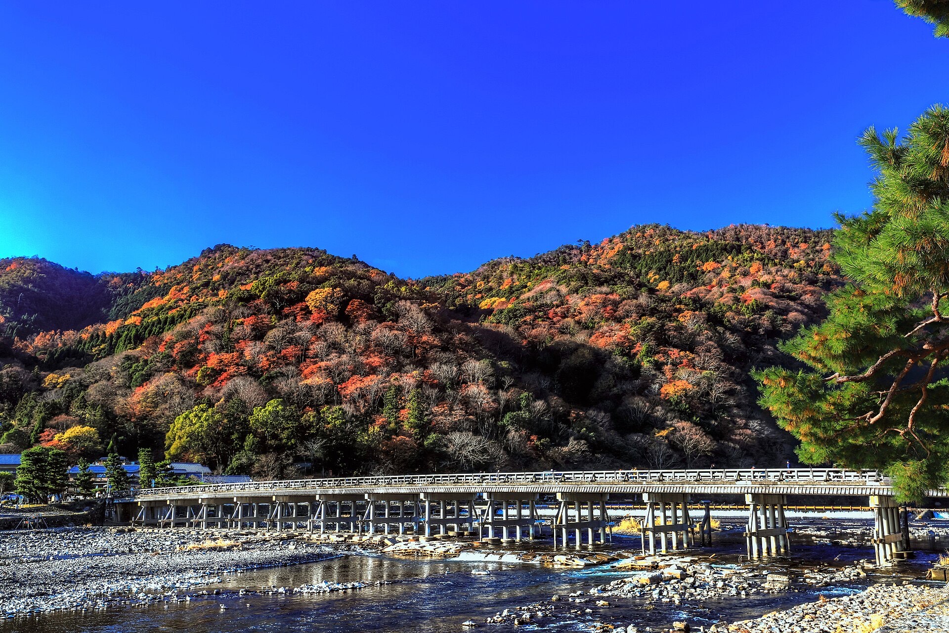 The long wooden-railed Togetsukyo Bridge crossing the shallow Katsura river at Arashiyama in Kyoto, with the hillside behind mottled orange and red under a deep blue sky