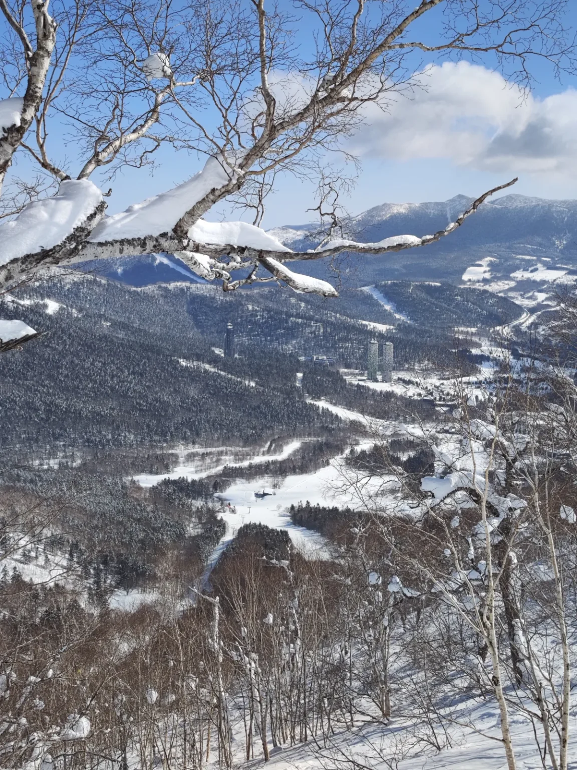 Snow-laden white birch branches frame a view down a snowy slope to the forested Tomamu valley, with tall resort towers and snow-streaked mountains under a blue sky.