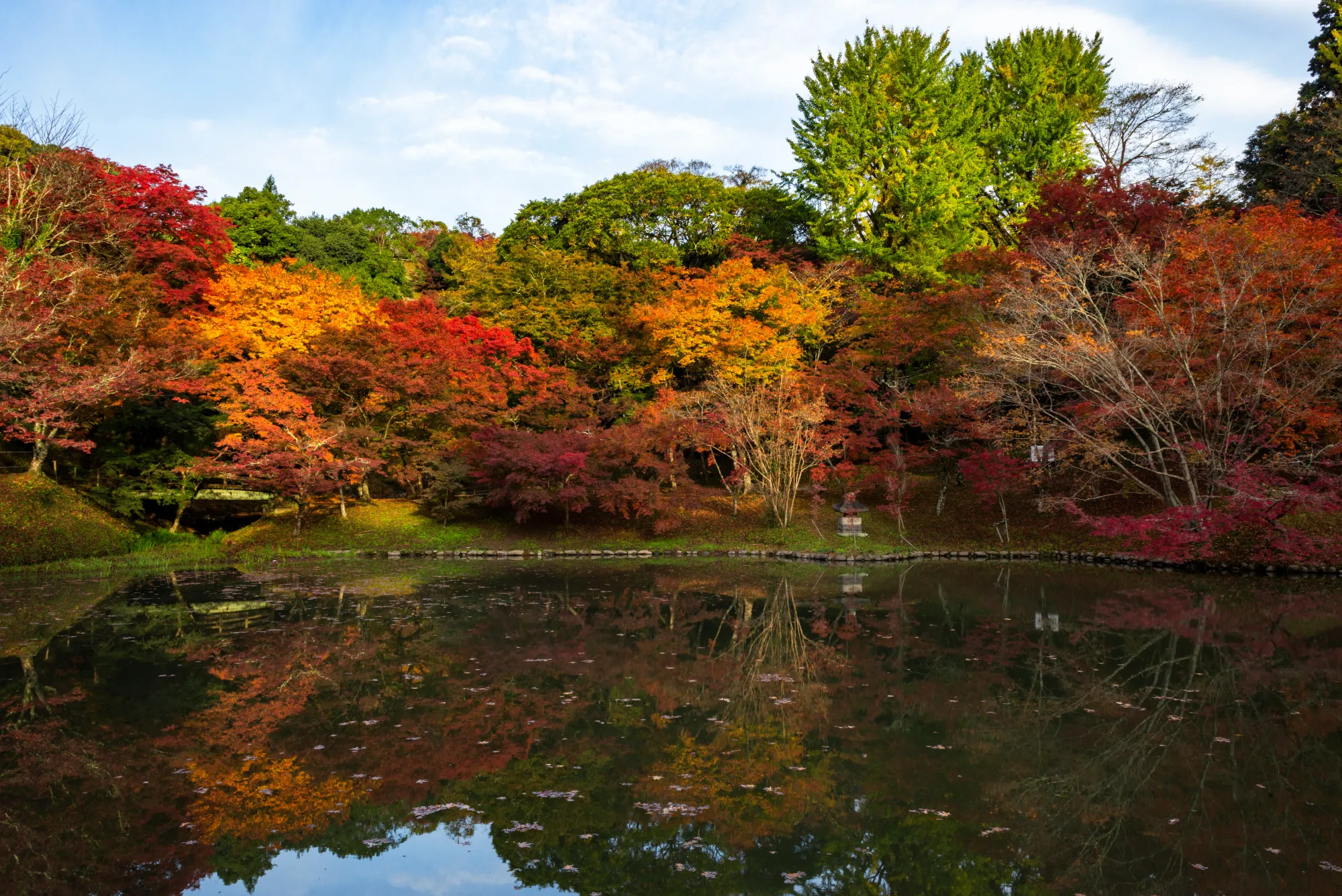 A broad view across the pond at Yujaku Park in Bungo-ono, Oita, with a mixed band of red, orange and green trees along the far bank reflected in the water.