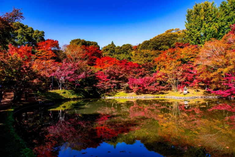 Red and orange Japanese maples ringing a still pond at Yujaku Park in Oita, their colour reflected almost perfectly in the water under a clear blue sky.