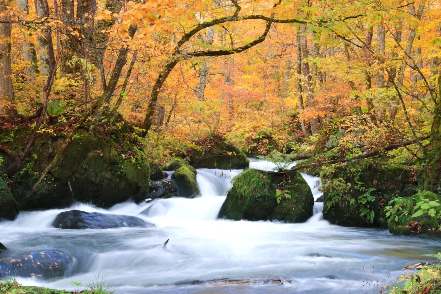 White water rushing around a large mossy boulder at Ashura-no-nagare, with trees in orange and yellow autumn leaves above the stream