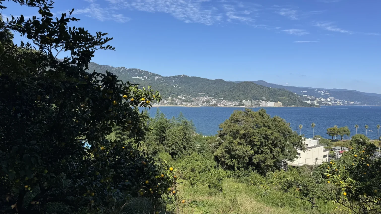 Trees in the foreground and a blue bay below, with a town and green hills along the coast under a blue sky