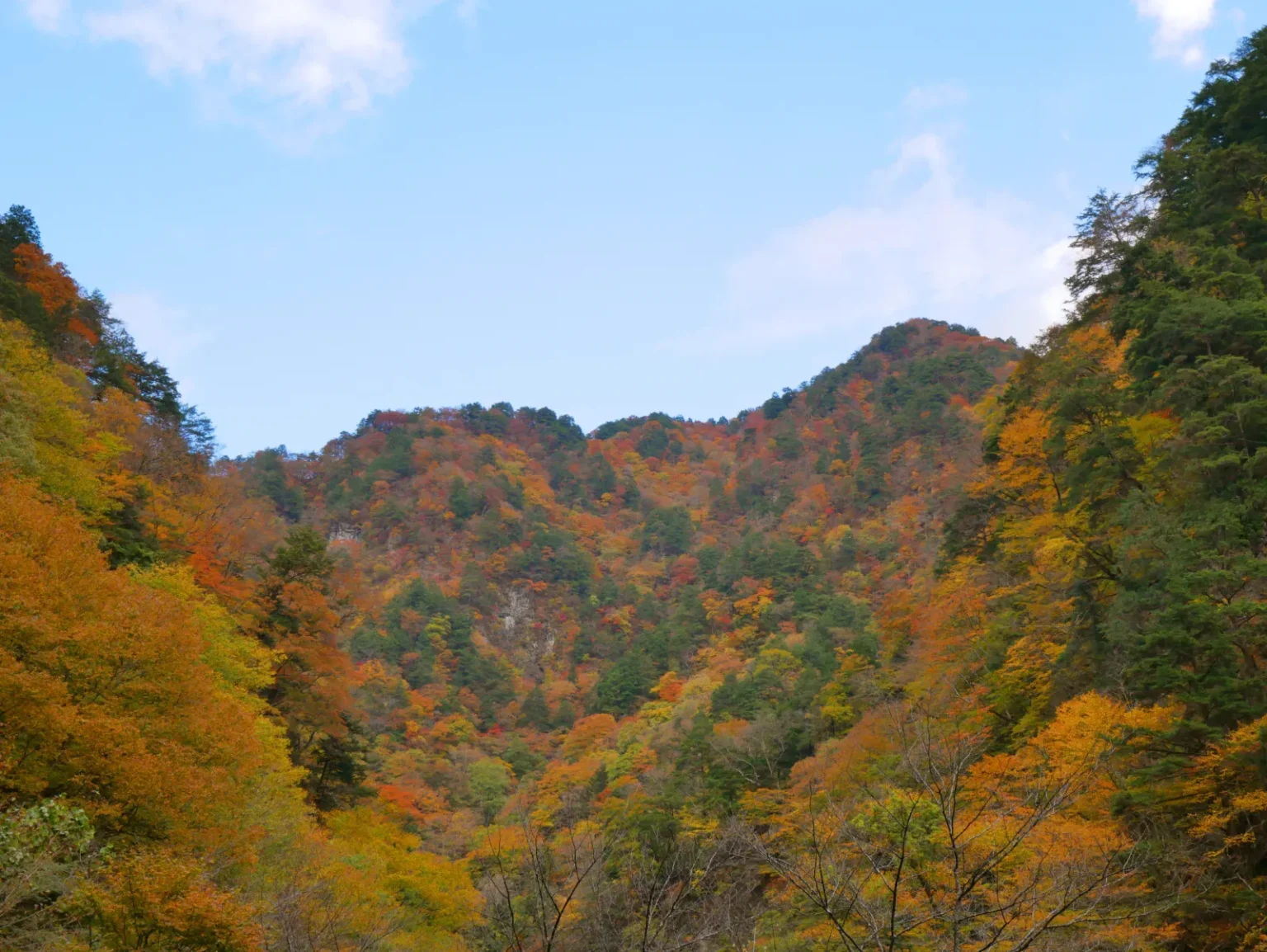 Steep mountain slopes covered in orange, yellow and green autumn trees under a blue sky