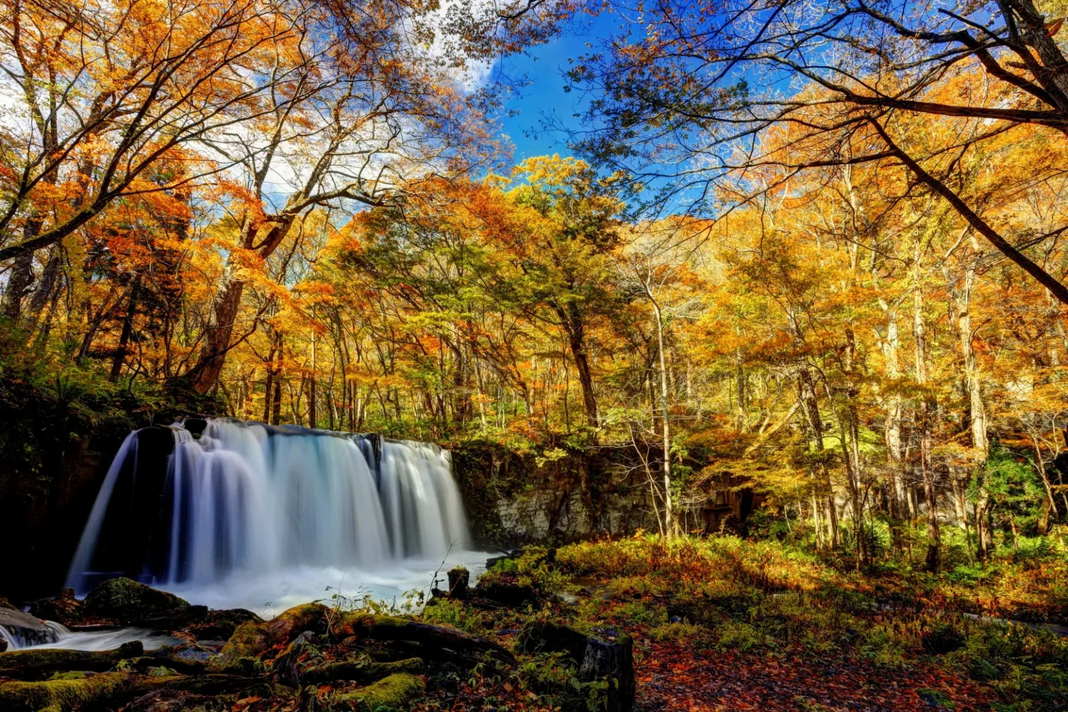 Choshi Otaki, a wide waterfall dropping into a pool, surrounded by trees in orange and yellow autumn leaves under a blue sky