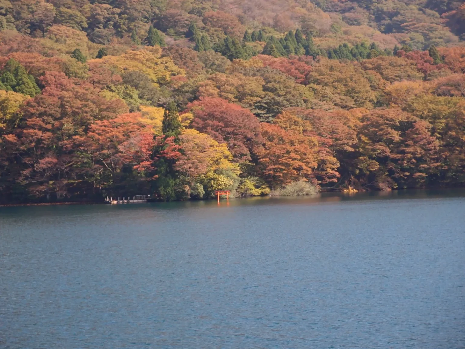 A red torii gate standing at the edge of Lake Ashi below a hillside of red, orange, yellow and green trees, with blue water in the foreground, photographed from the sightseeing cruise between Togendai and Hakone-machi